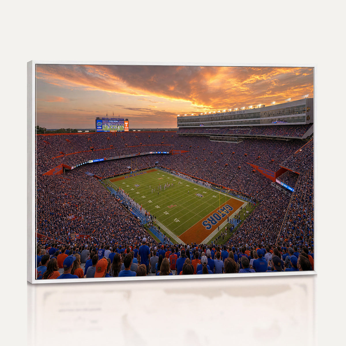 48009171-MGV-CV-36X24 - Stadium Wall Art Canvas Print