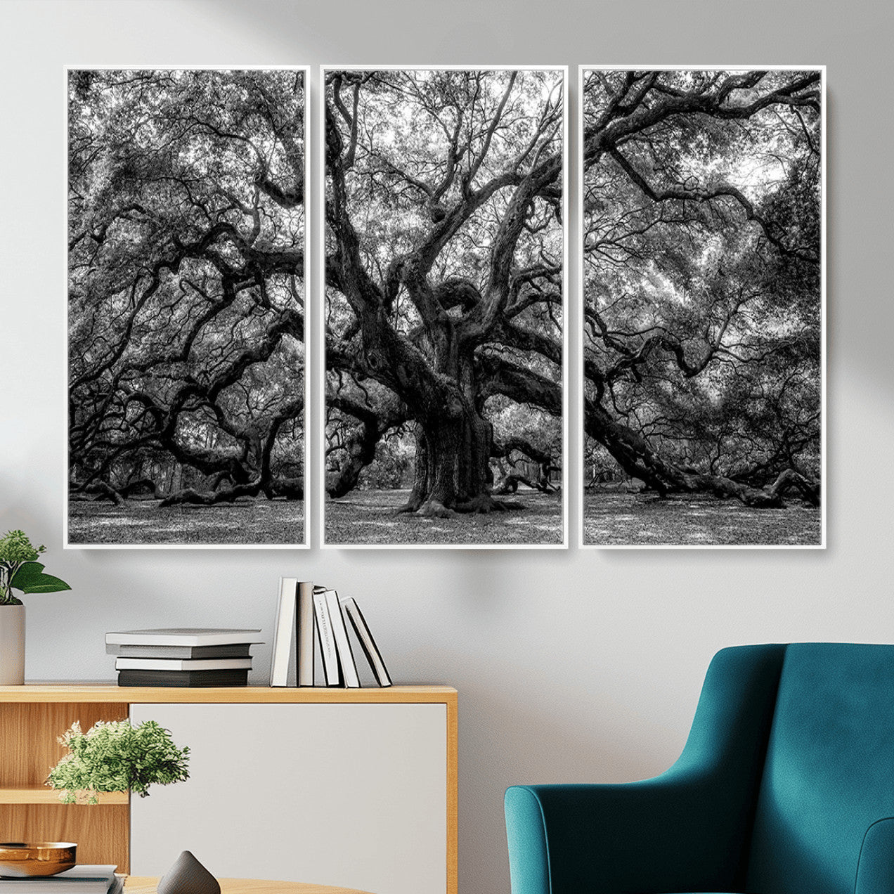 132944706-MGV-CV-36X24 - Black and White Old Angel Oak Tree Wall Art Canvas Print