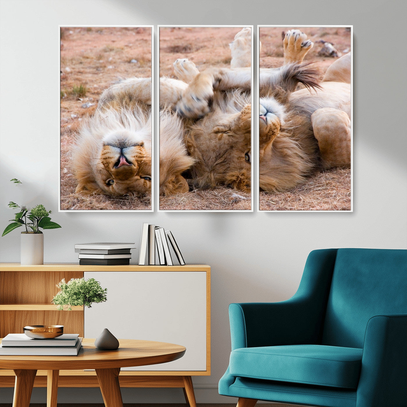 -Lion Pair Wall Art Canvas Print – Framed Wildlife Scene with Playful Lions Artwork for Home, Office, Living Room