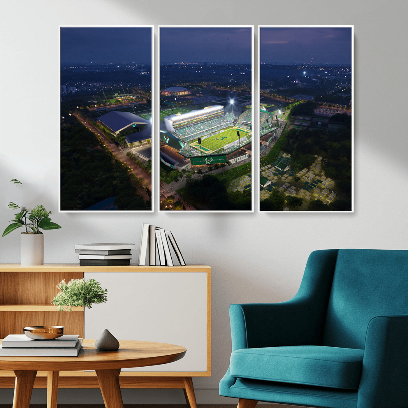 -The University of South Florida Bulls Football Team Print - Tampa USF Football Stadium Wall Art