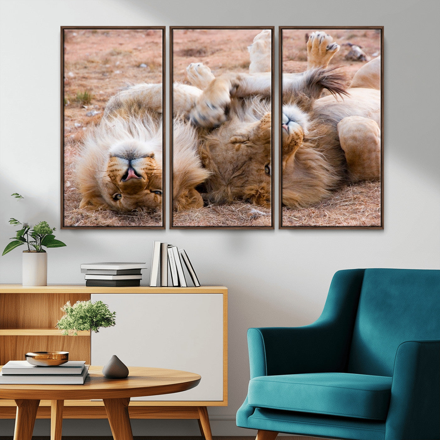 -Lion Pair Wall Art Canvas Print – Framed Wildlife Scene with Playful Lions Artwork for Home, Office, Living Room