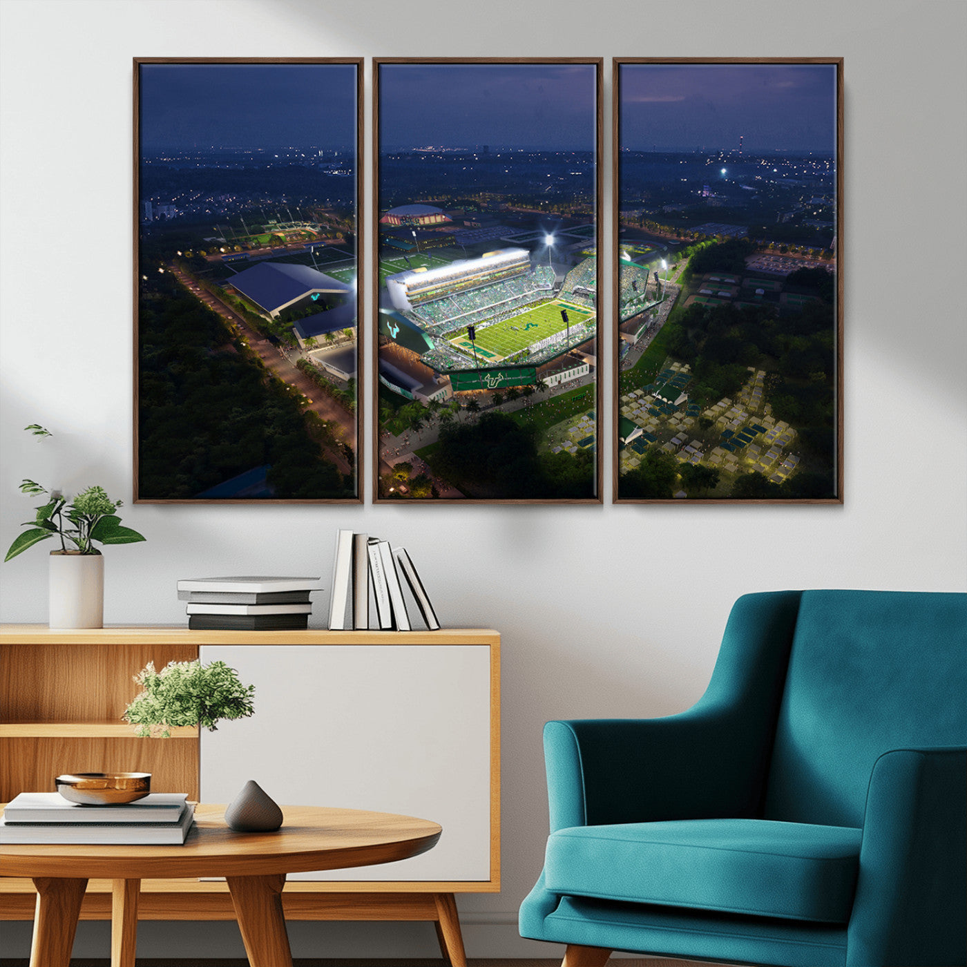 -The University of South Florida Bulls Football Team Print - Tampa USF Football Stadium Wall Art