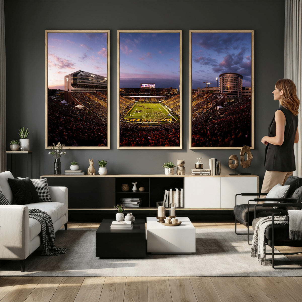 49683861-MGV-CV-36X24 - Stadium Wall Art Canvas Print