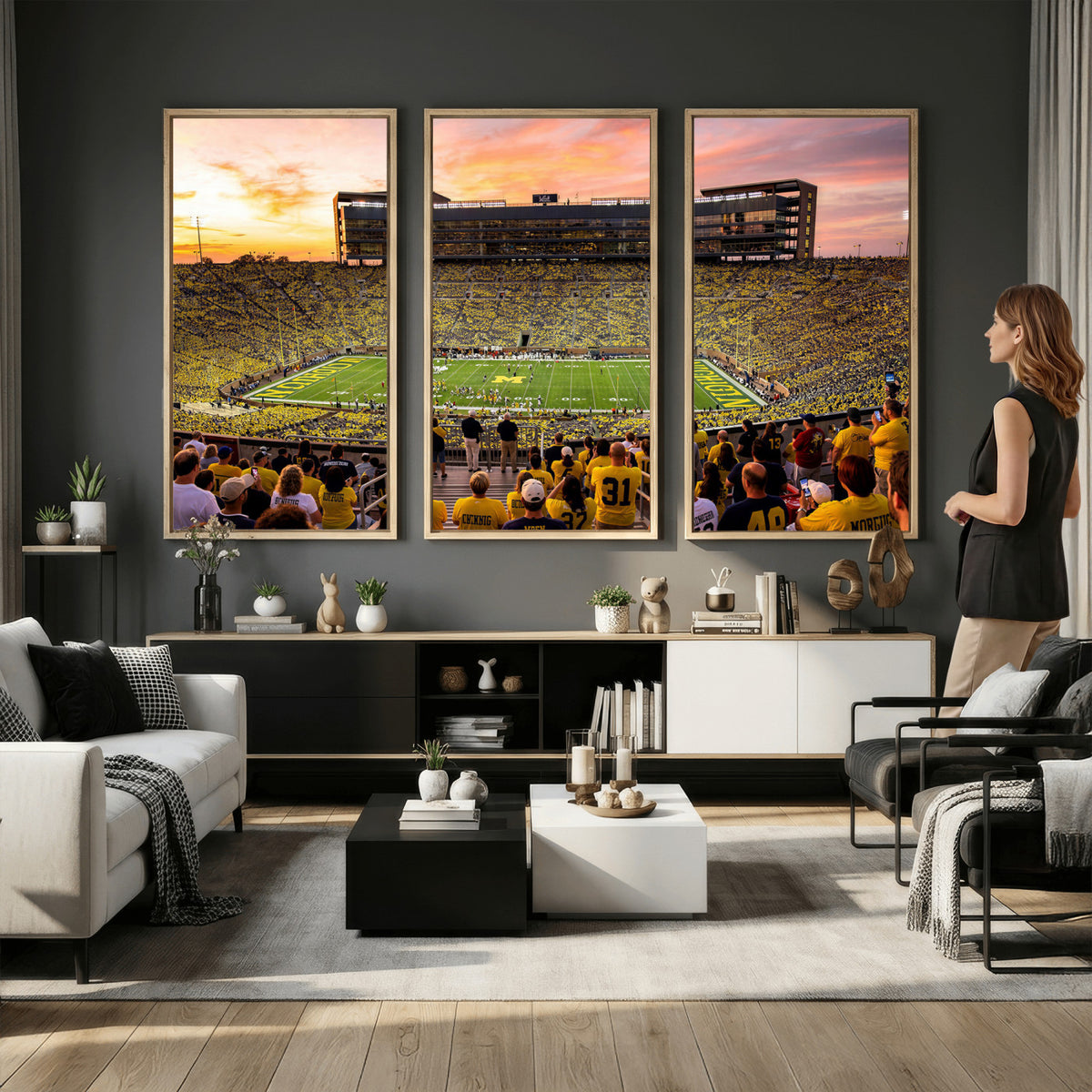 27265223-MGV-CV-36X24 - Stadium Wall Art Canvas Print