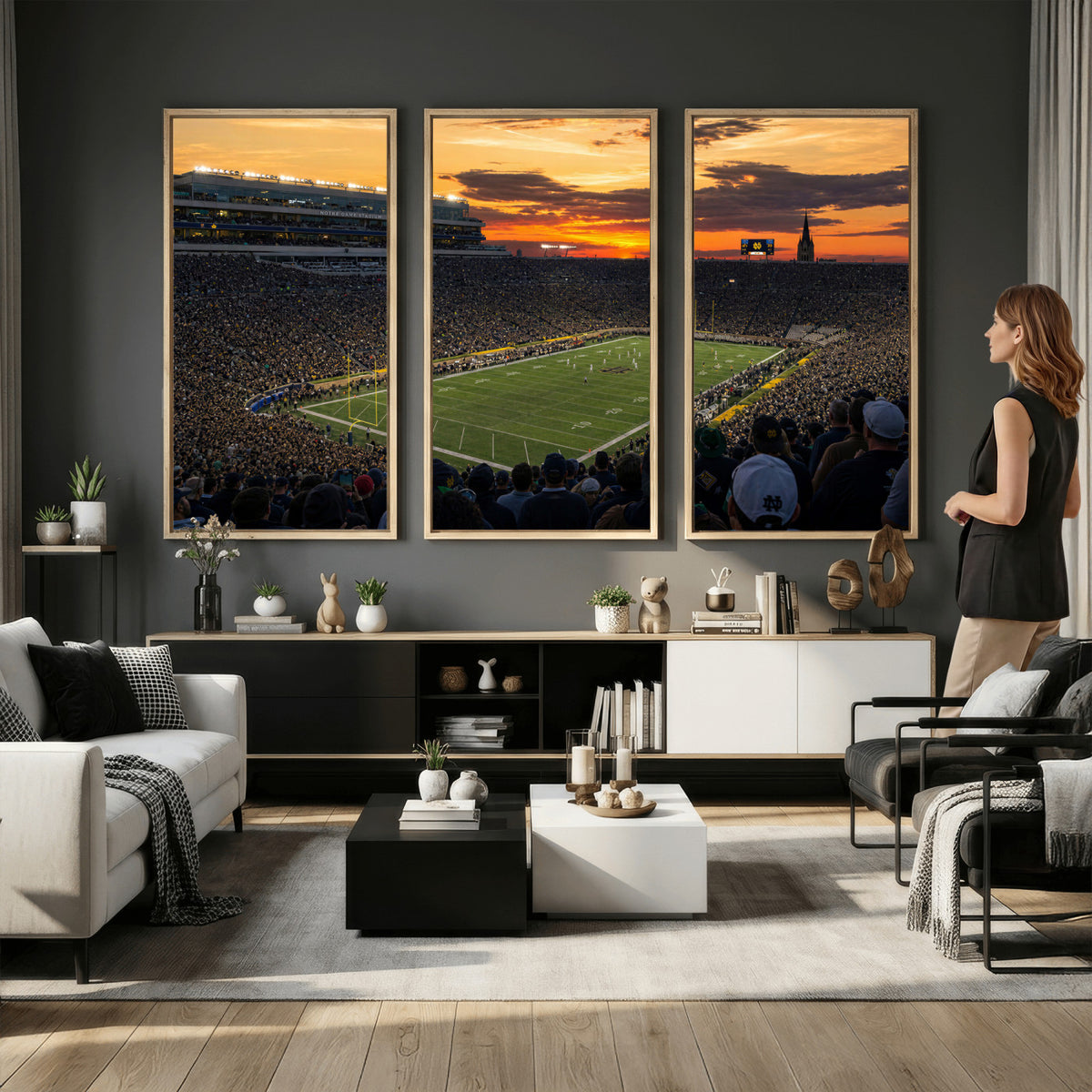 73585402-MGV-CV-36X24 - Stadium Wall Art Canvas Print