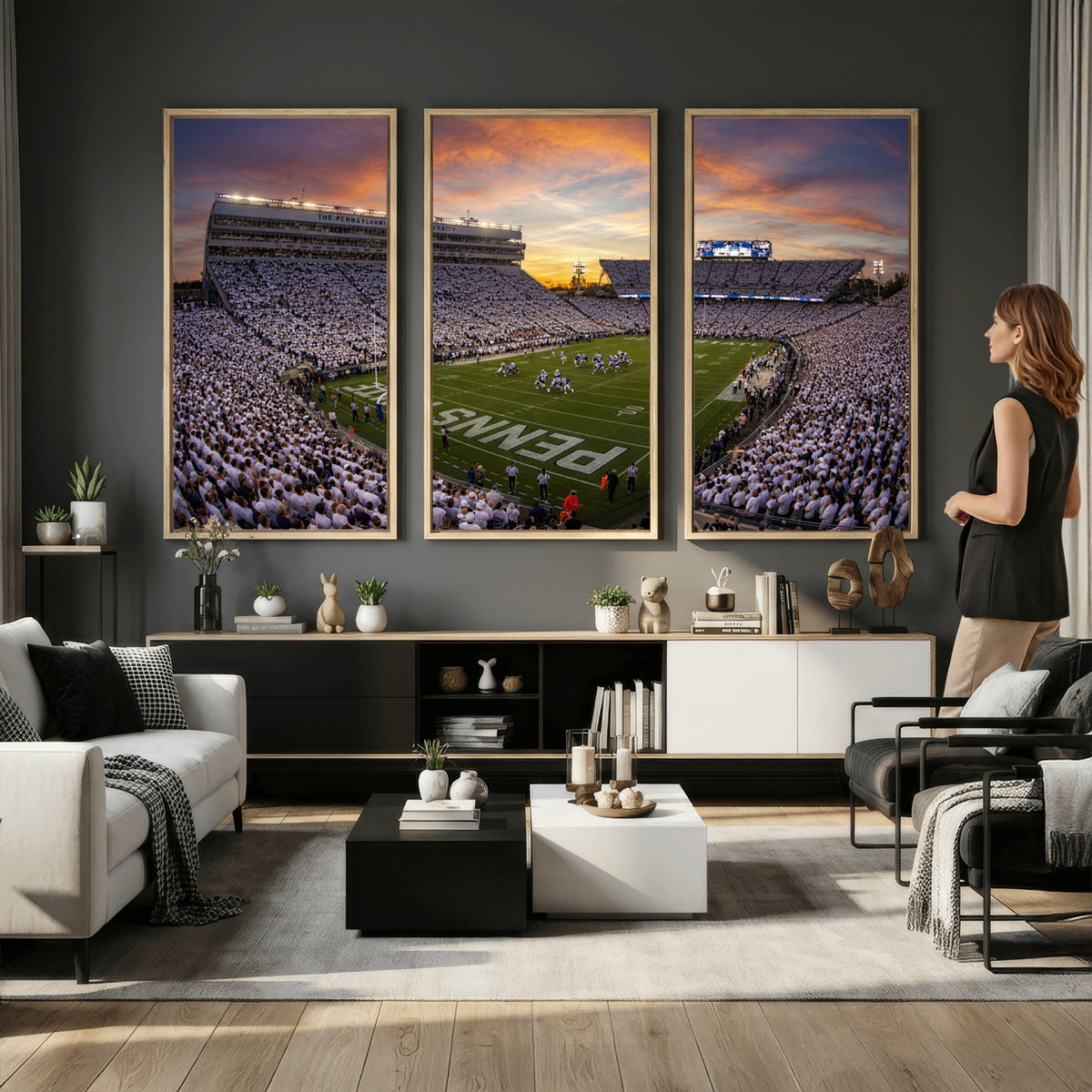 37485833-MGV-CV-36X24 - Stadium Wall Art Canvas Print