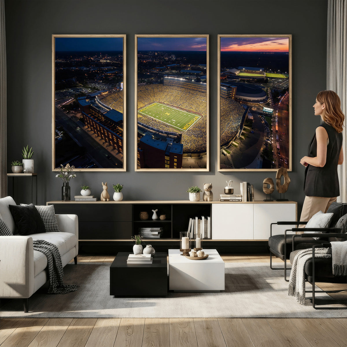61127284-MGV-CV-36X24 - Stadium Wall Art Canvas Print