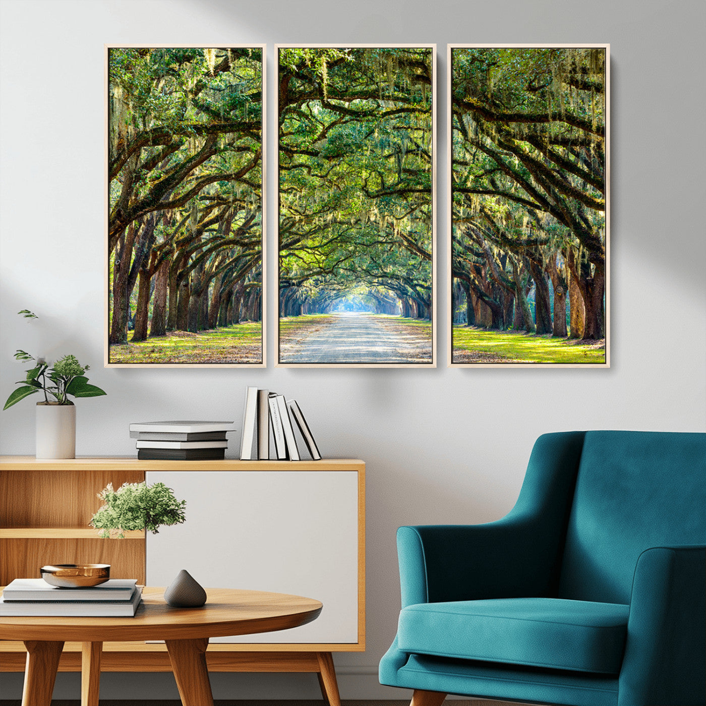 -Wormsloe State Plantation Driveway Wall Art Canvas Print