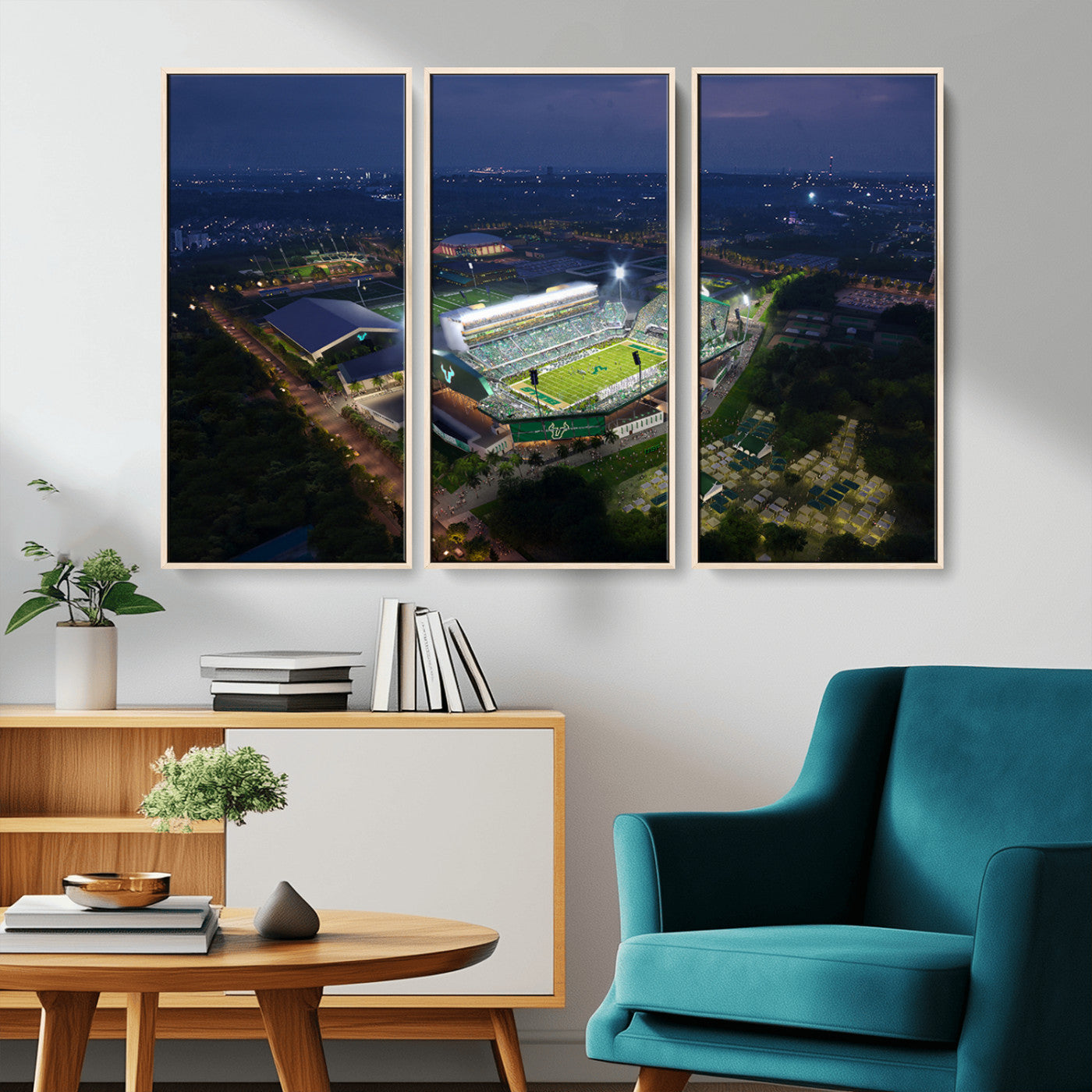 -The University of South Florida Bulls Football Team Print - Tampa USF Football Stadium Wall Art