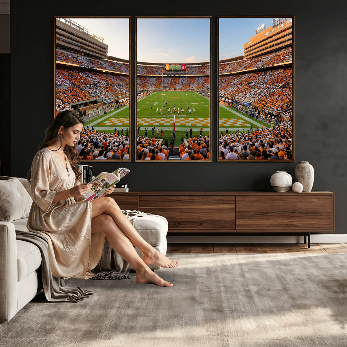 74509135-MGV-CV-36X24 - Stadium Wall Art Canvas Print
