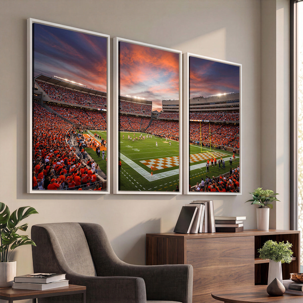 67648335-MGV-CV-36X24 - Stadium Wall Art Canvas Print
