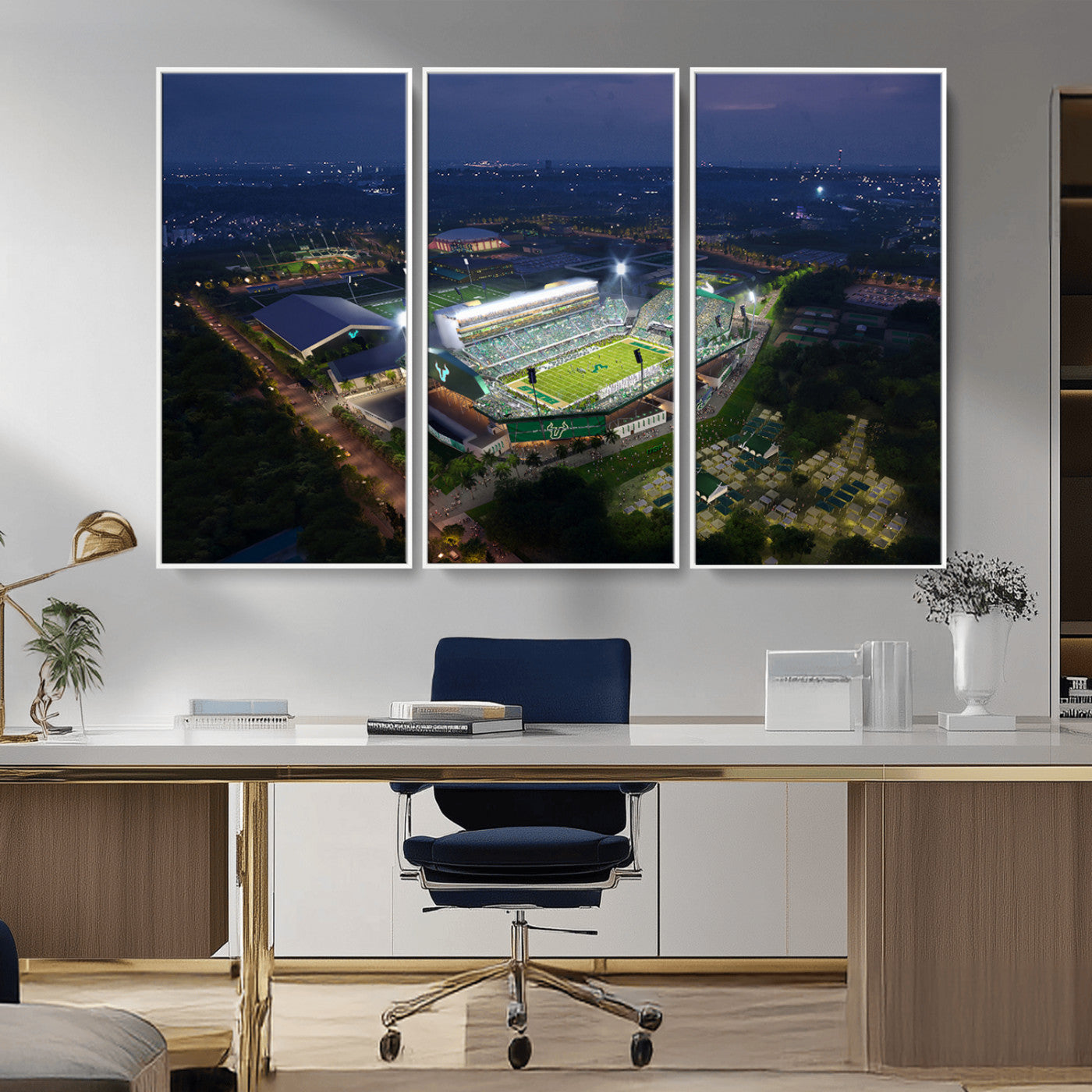 -The University of South Florida Bulls Football Team Print - Tampa USF Football Stadium Wall Art