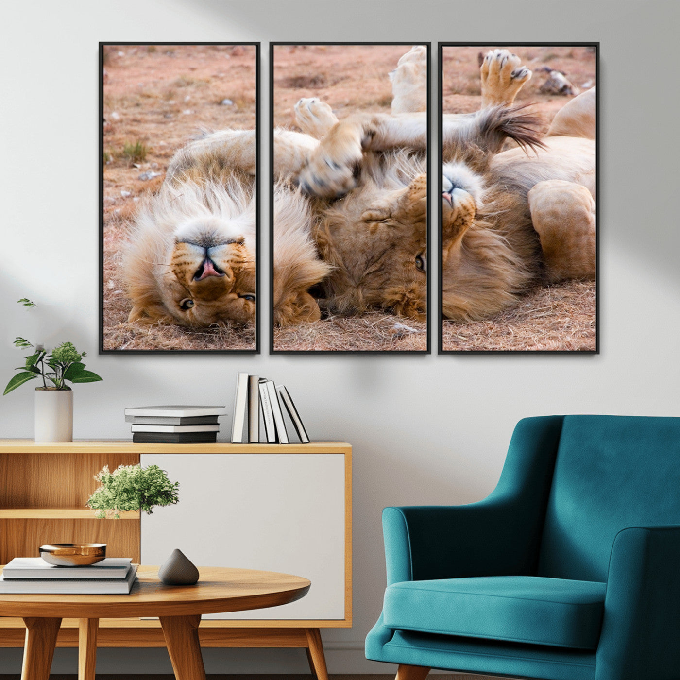-Lion Pair Wall Art Canvas Print – Framed Wildlife Scene with Playful Lions Artwork for Home, Office, Living Room