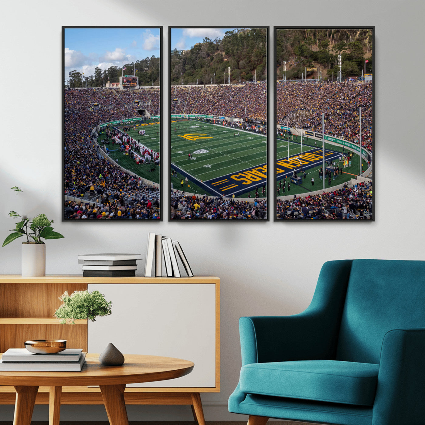 -University of California Golden Bears Football Team Print - Berkeley California Memorial Stadium Art