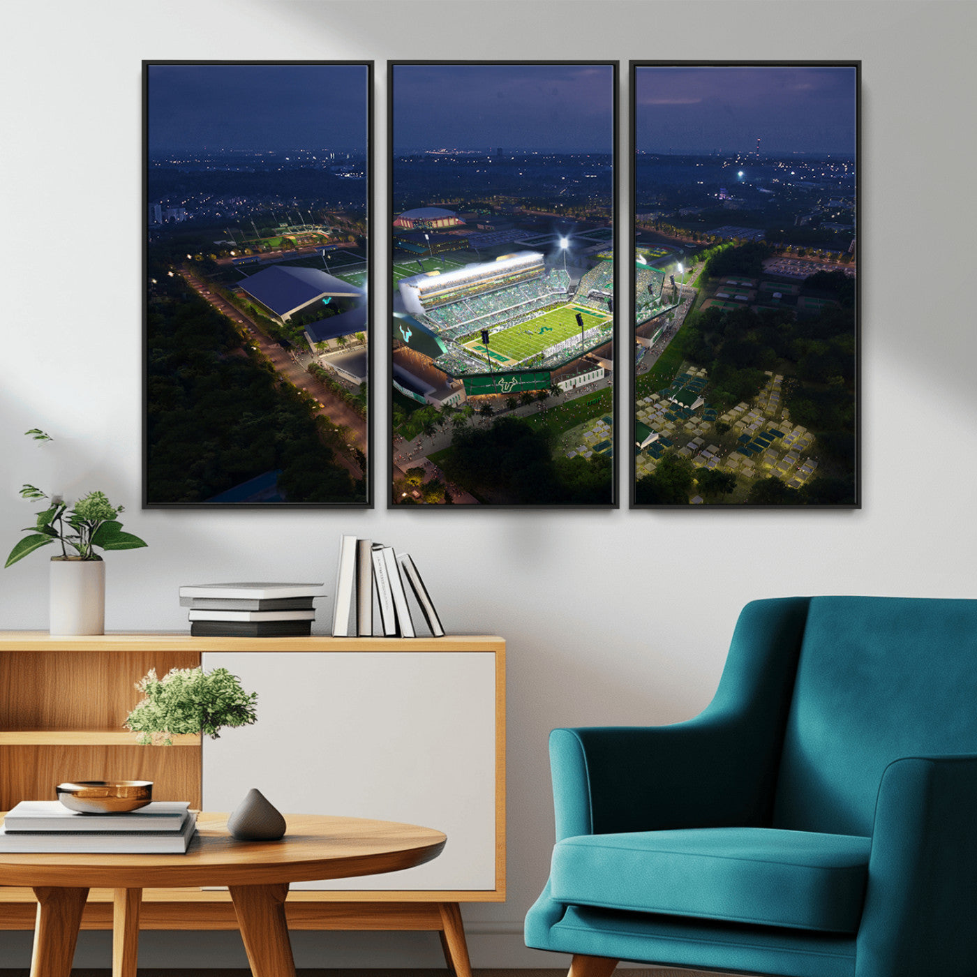 -The University of South Florida Bulls Football Team Print - Tampa USF Football Stadium Wall Art