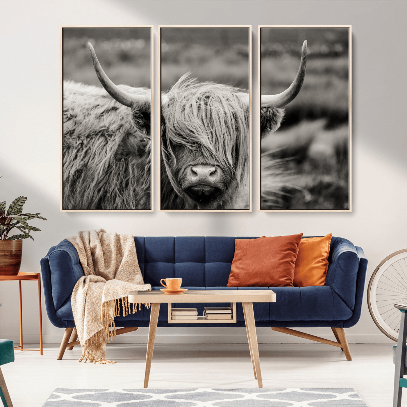 -Cow Focus Canvas Wall Art Print