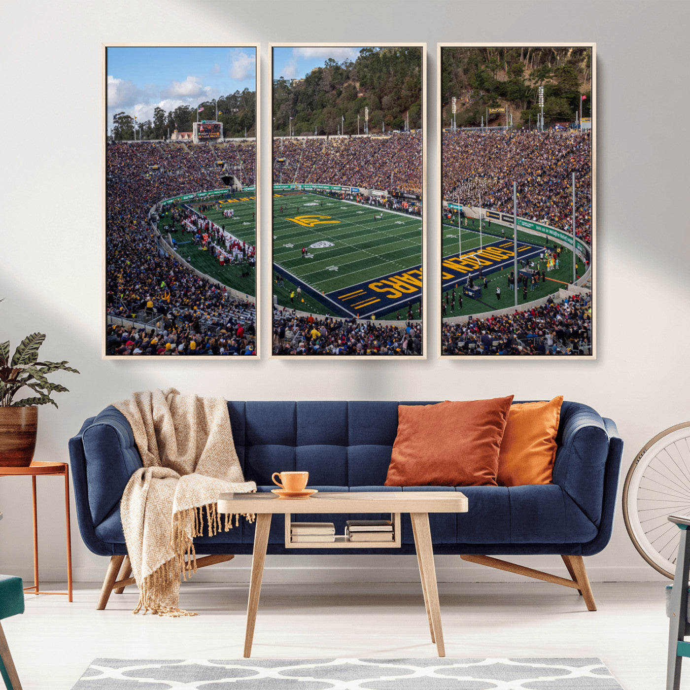 -University of California Golden Bears Football Team Print - Berkeley California Memorial Stadium Art