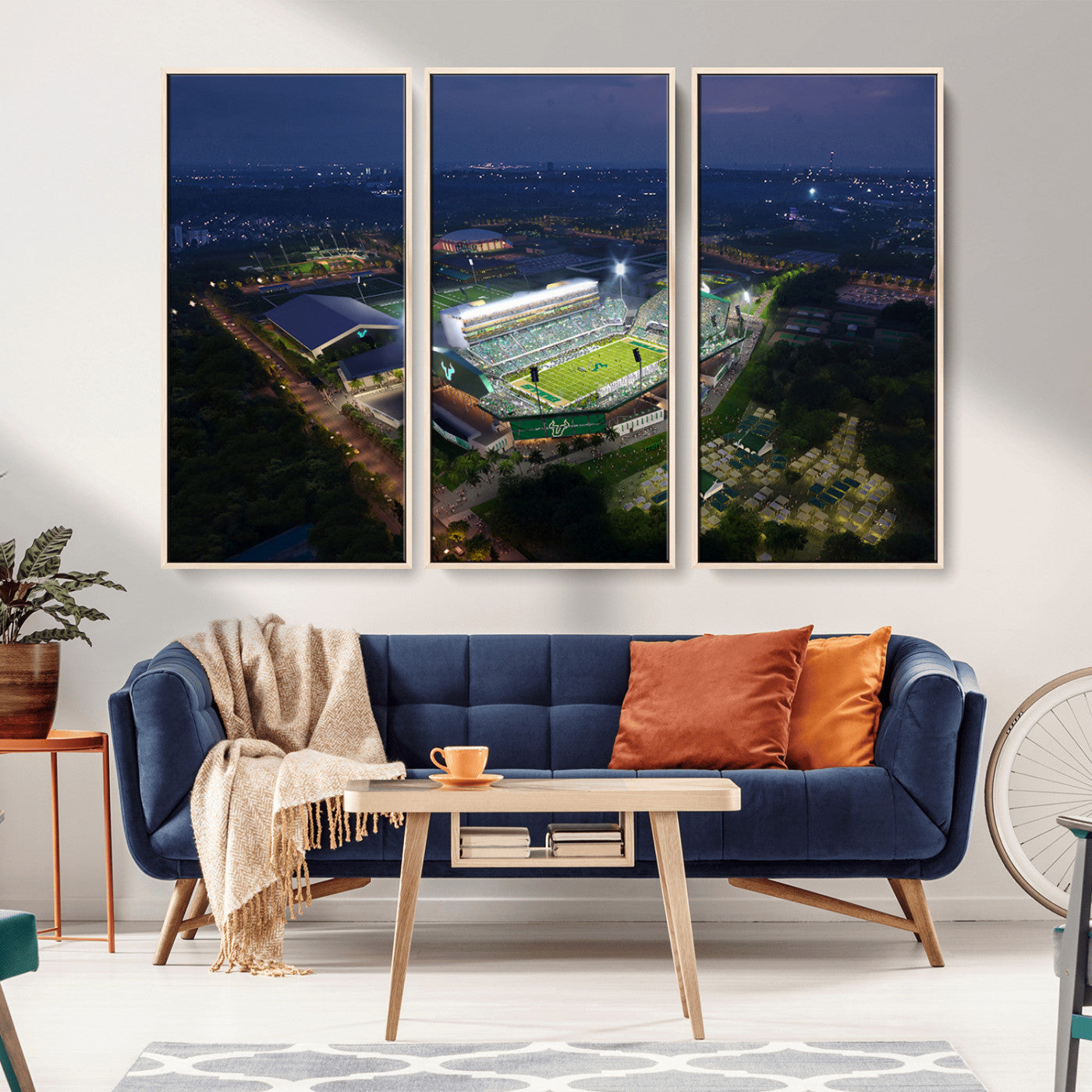 -The University of South Florida Bulls Football Team Print - Tampa USF Football Stadium Wall Art