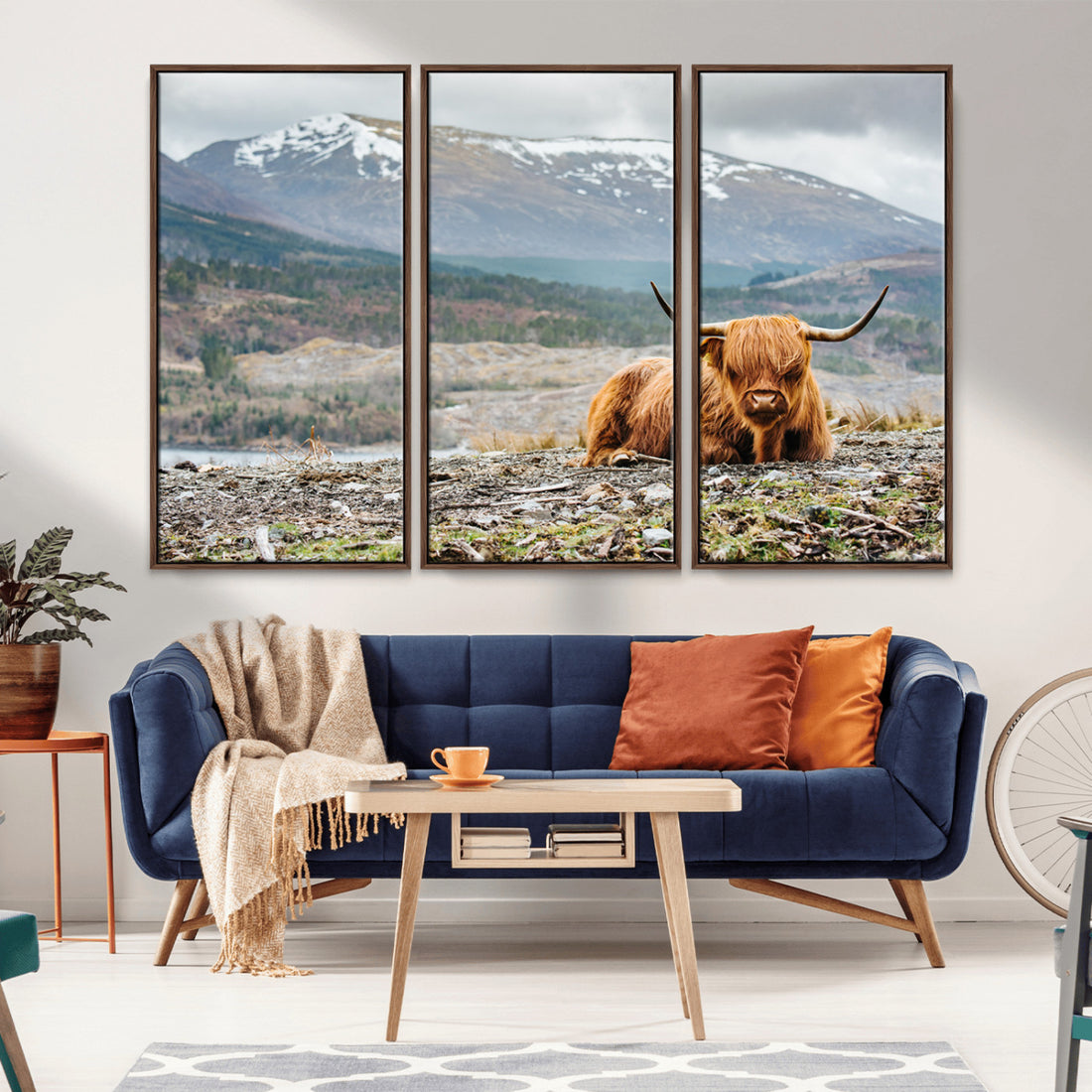 Highland Cow Horn Farm Wall Art Canvas Print