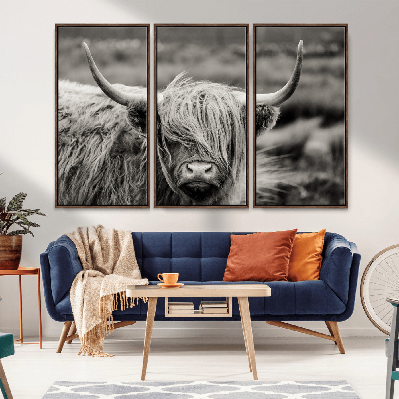 -Cow Focus Canvas Wall Art Print