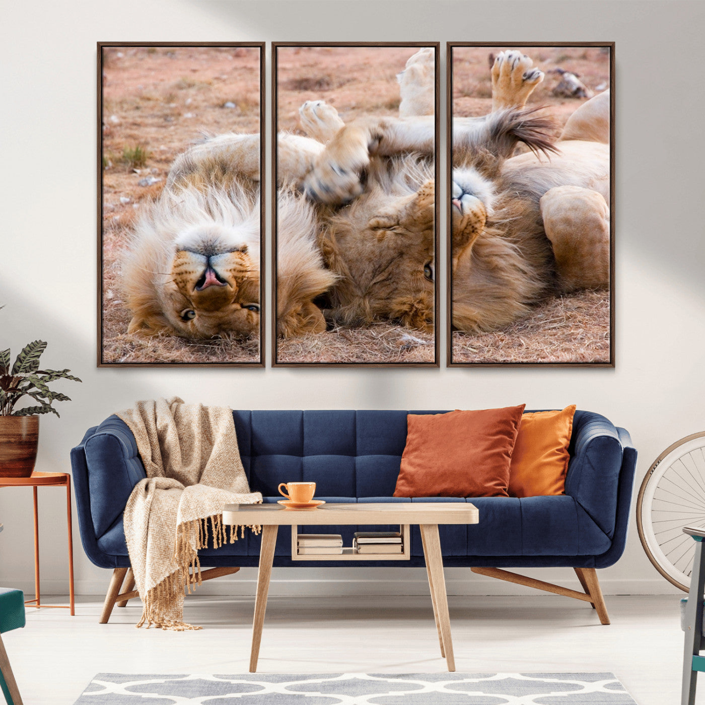 -Lion Pair Wall Art Canvas Print – Framed Wildlife Scene with Playful Lions Artwork for Home, Office, Living Room