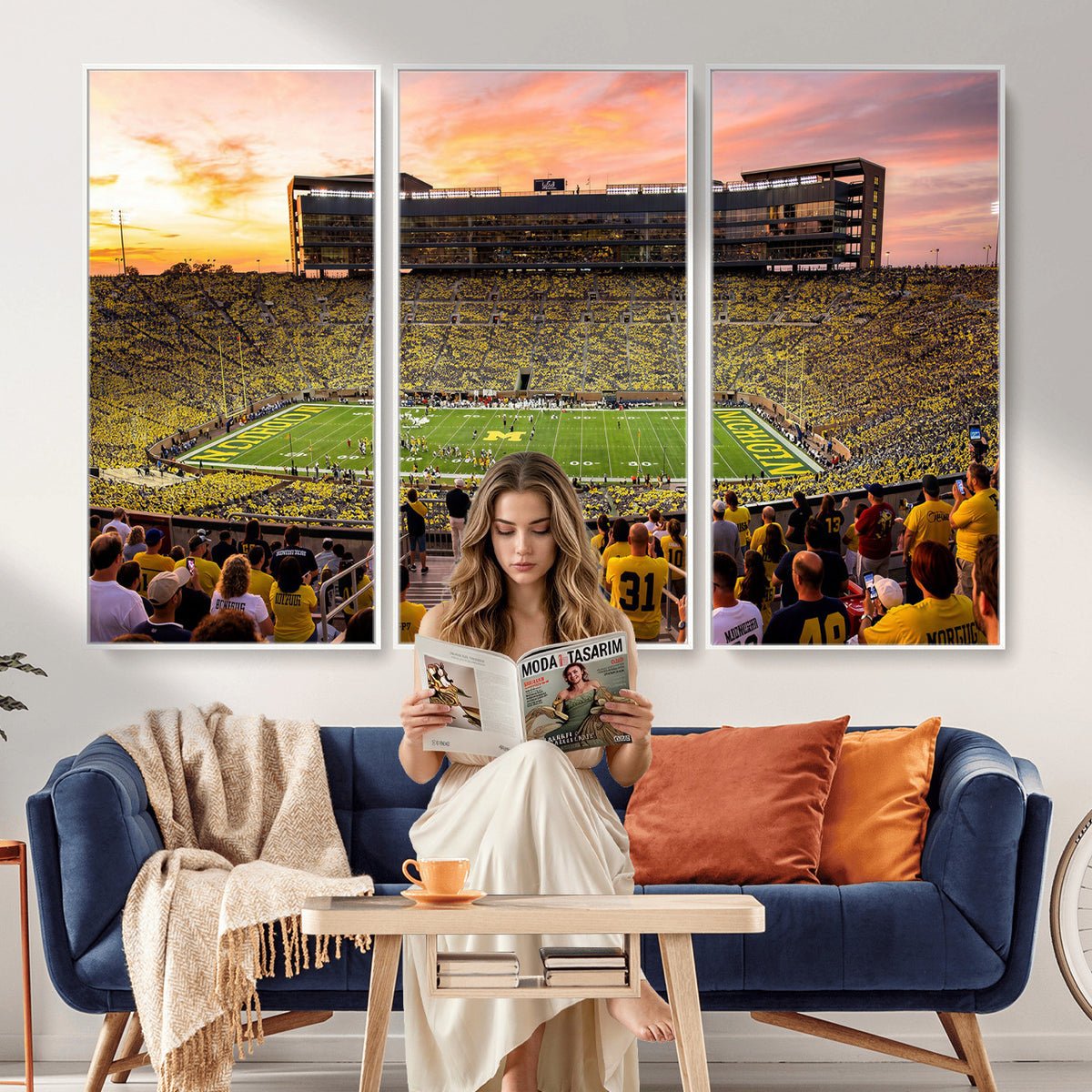 27265223-MGV-CV-36X24 - Stadium Wall Art Canvas Print