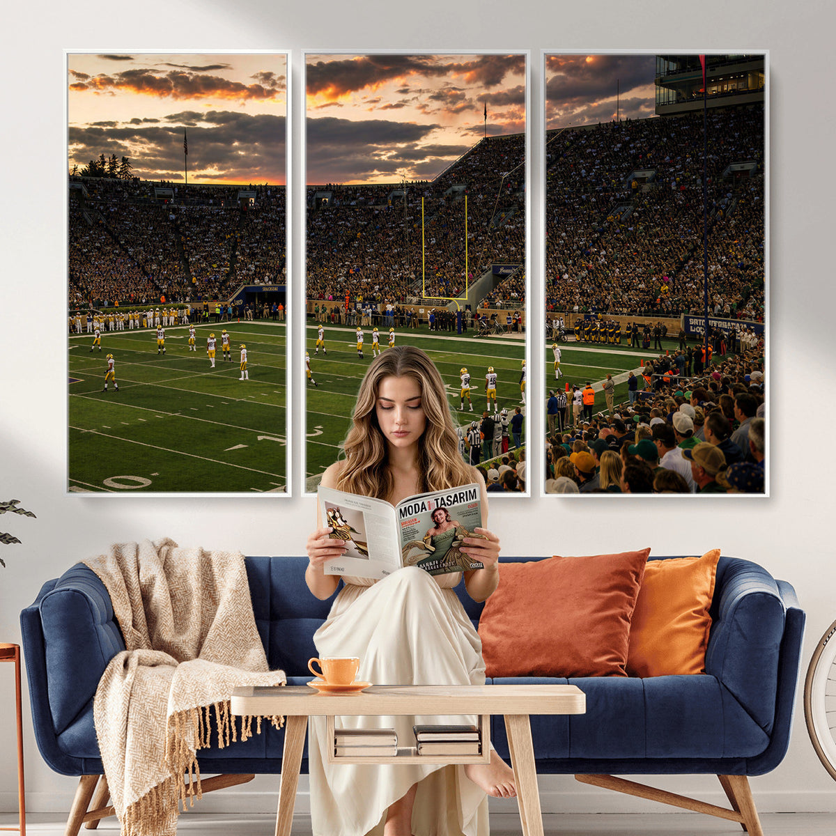 17703678-MGV-CV-36X24 - Stadium Wall Art Canvas Print