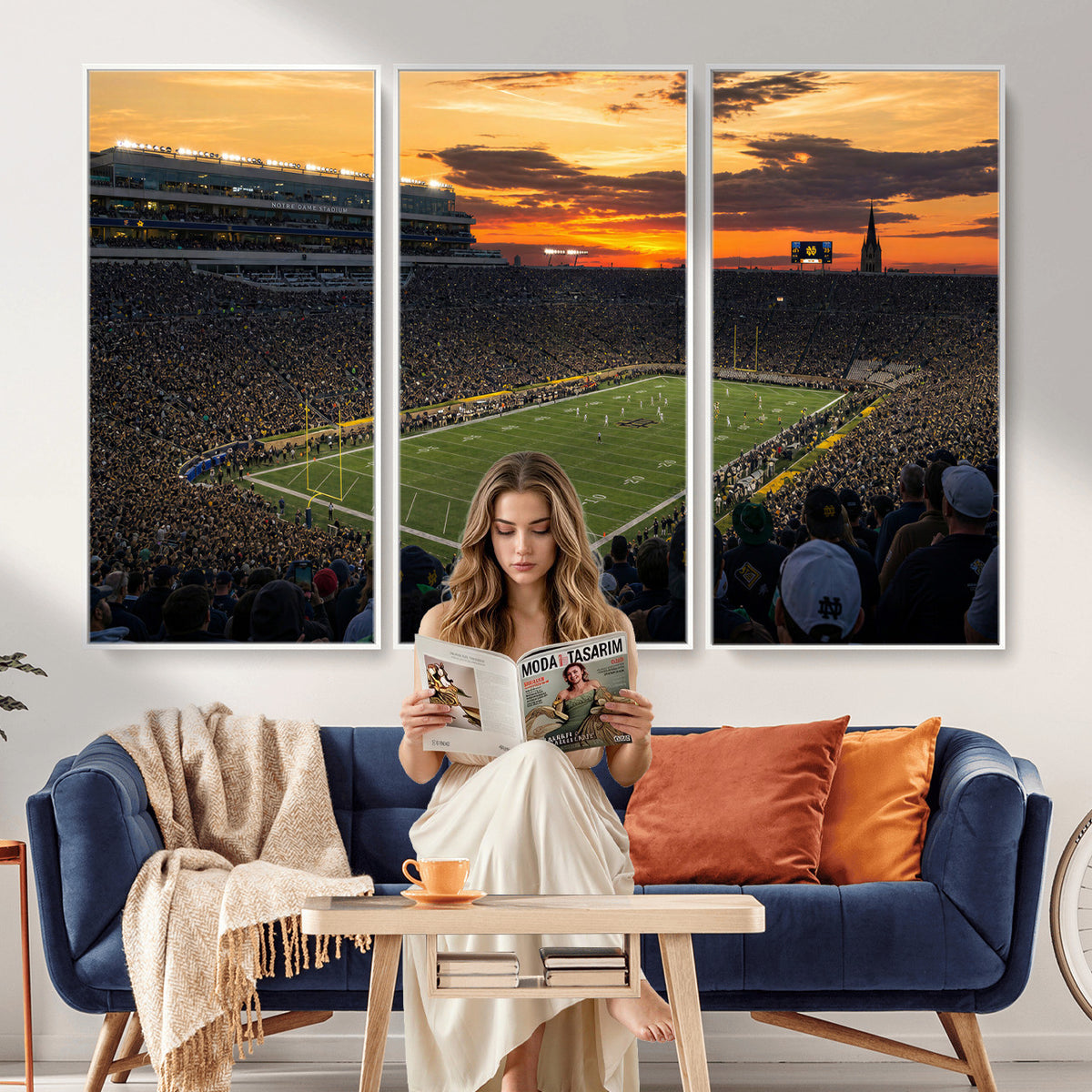 73585402-MGV-CV-36X24 - Stadium Wall Art Canvas Print
