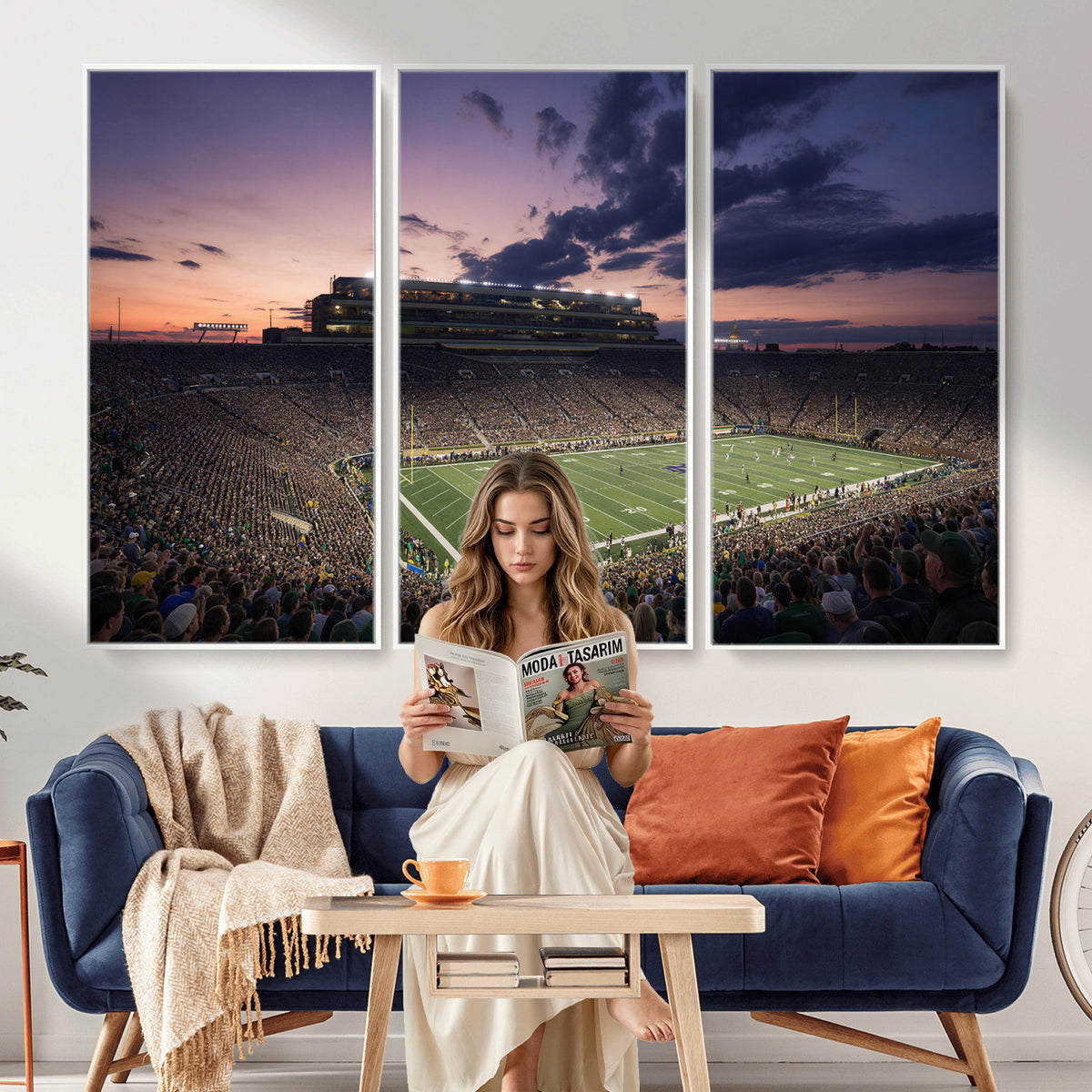 48837941-MGV-CV-36X24 - Stadium Wall Art Canvas Print