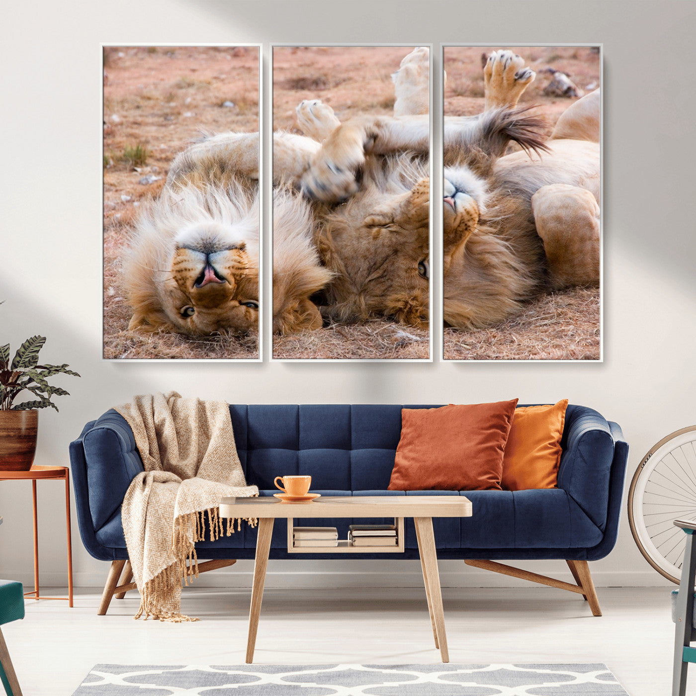 -Lion Pair Wall Art Canvas Print – Framed Wildlife Scene with Playful Lions Artwork for Home, Office, Living Room