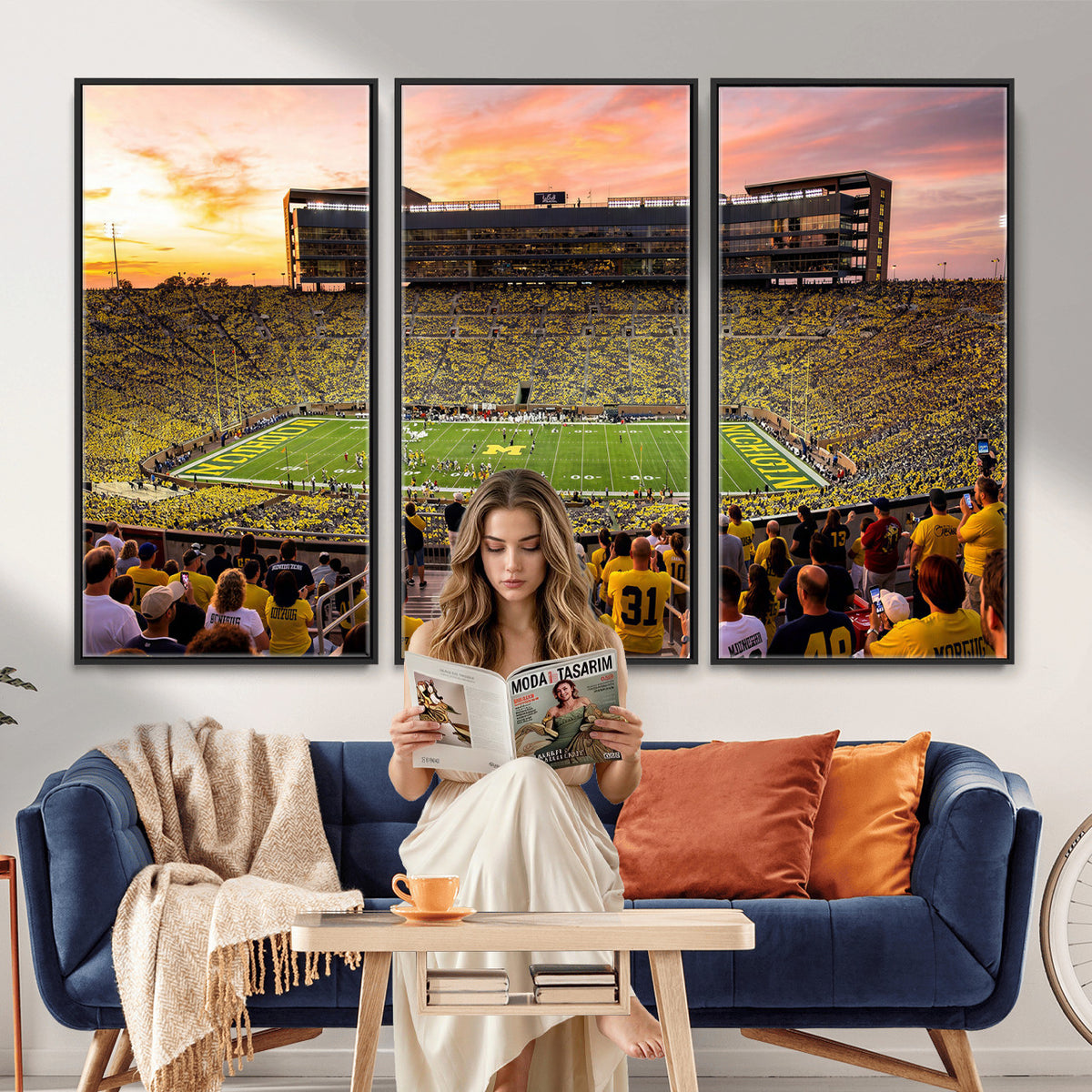 27265223-MGV-CV-36X24 - Stadium Wall Art Canvas Print