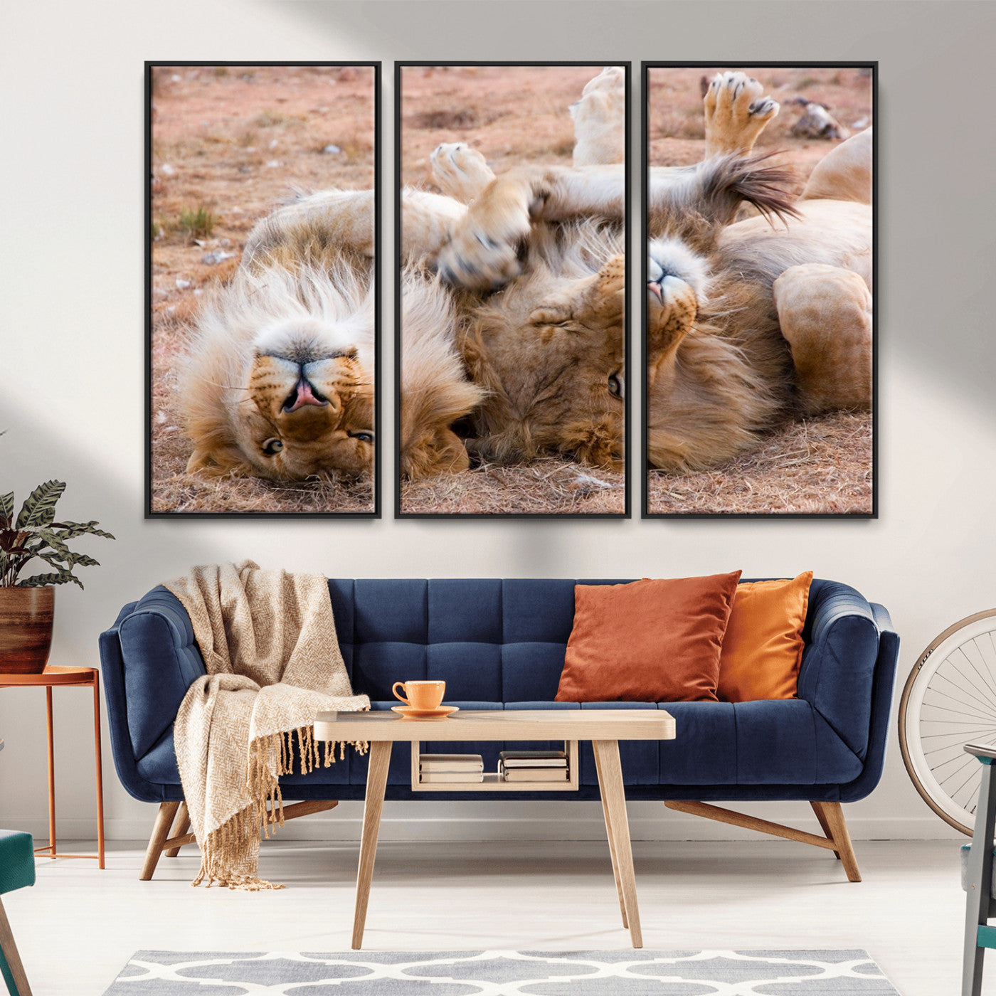 -Lion Pair Wall Art Canvas Print – Framed Wildlife Scene with Playful Lions Artwork for Home, Office, Living Room