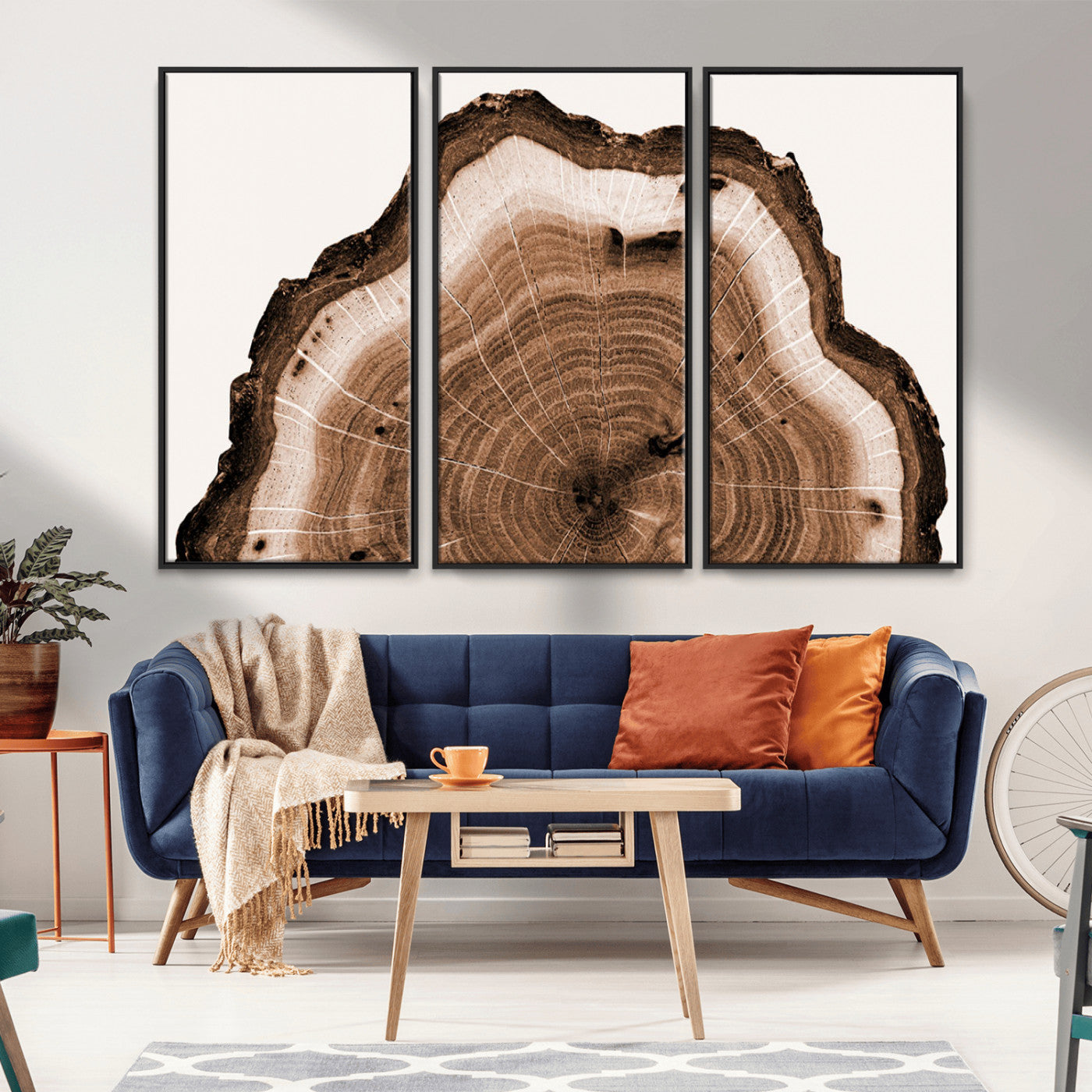 -Rustic Wood Rings Wall Art | Nature-Inspired Tree Ring Canvas Print | Ready to Hang and Framed for