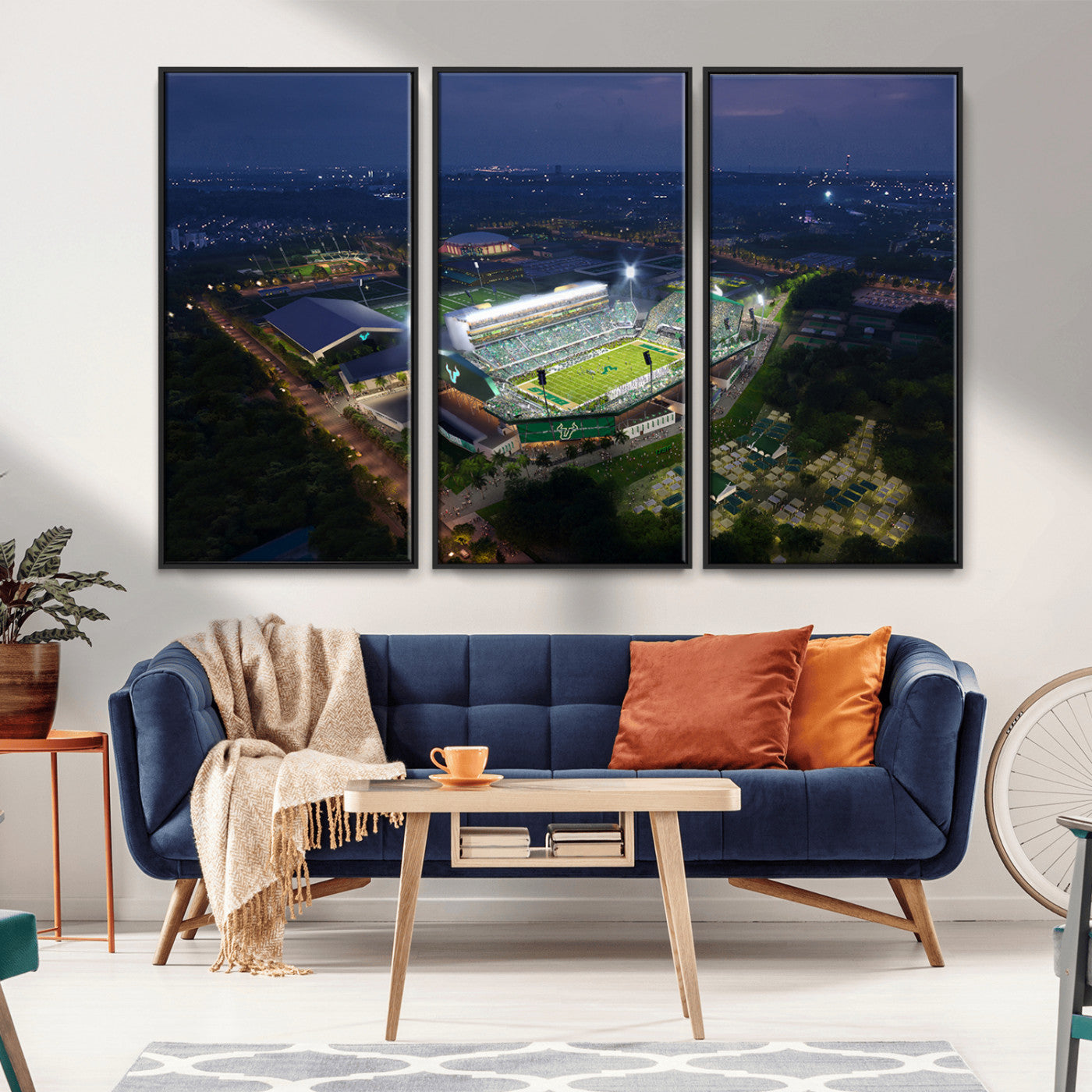 -The University of South Florida Bulls Football Team Print - Tampa USF Football Stadium Wall Art