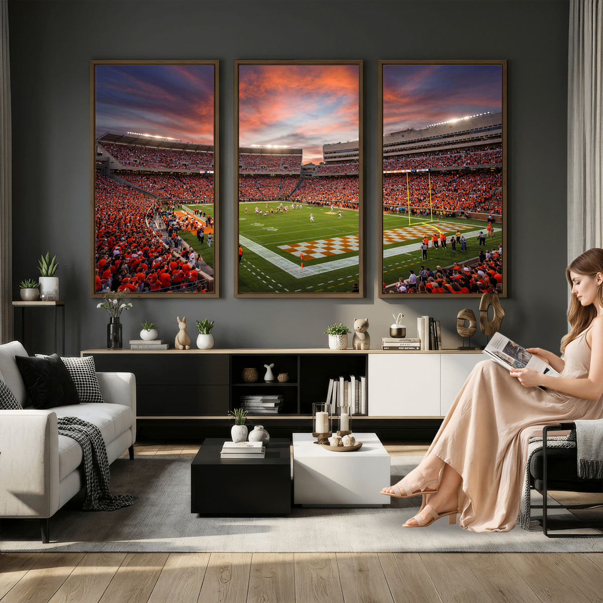 67648335-MGV-CV-36X24 - Stadium Wall Art Canvas Print
