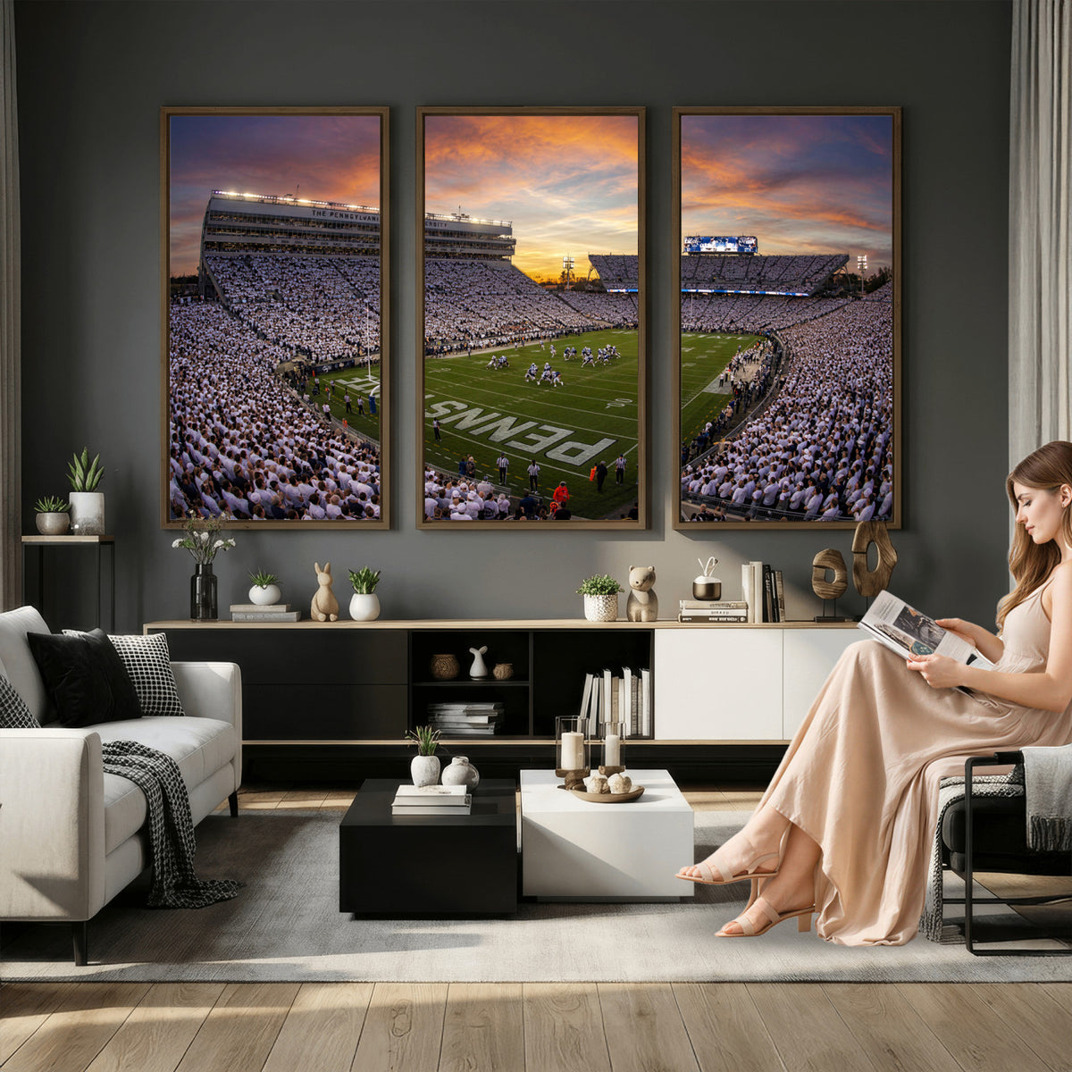 37485833-MGV-CV-36X24 - Stadium Wall Art Canvas Print
