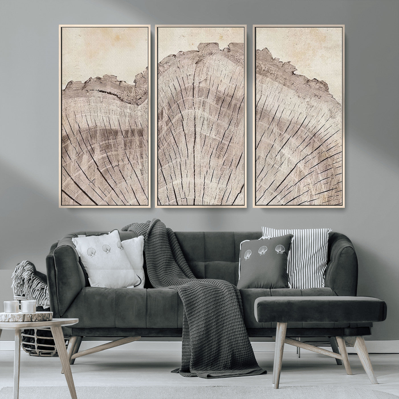 -Tree Ring Wall Art Triptych, Rustic Wood Ring Canvas Print, Minimalist Wall Decor for Modern Homes
