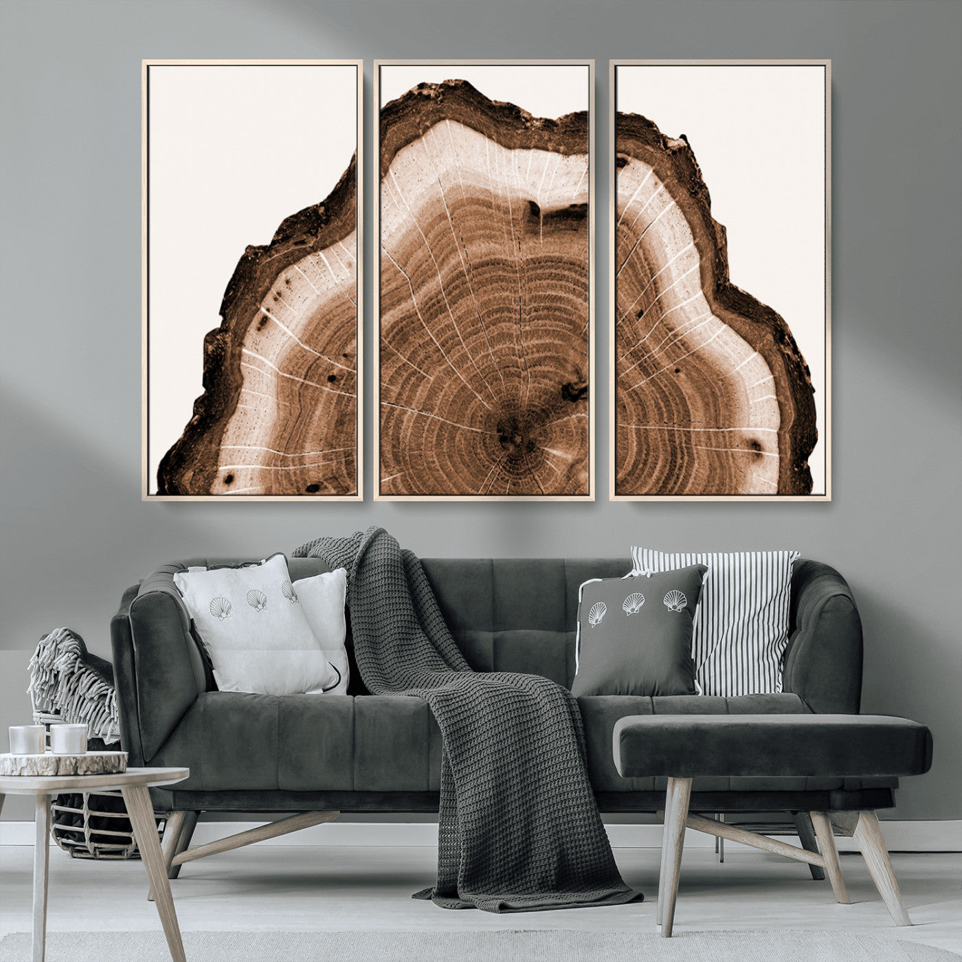 -Rustic Wood Rings Wall Art | Nature-Inspired Tree Ring Canvas Print | Ready to Hang and Framed for