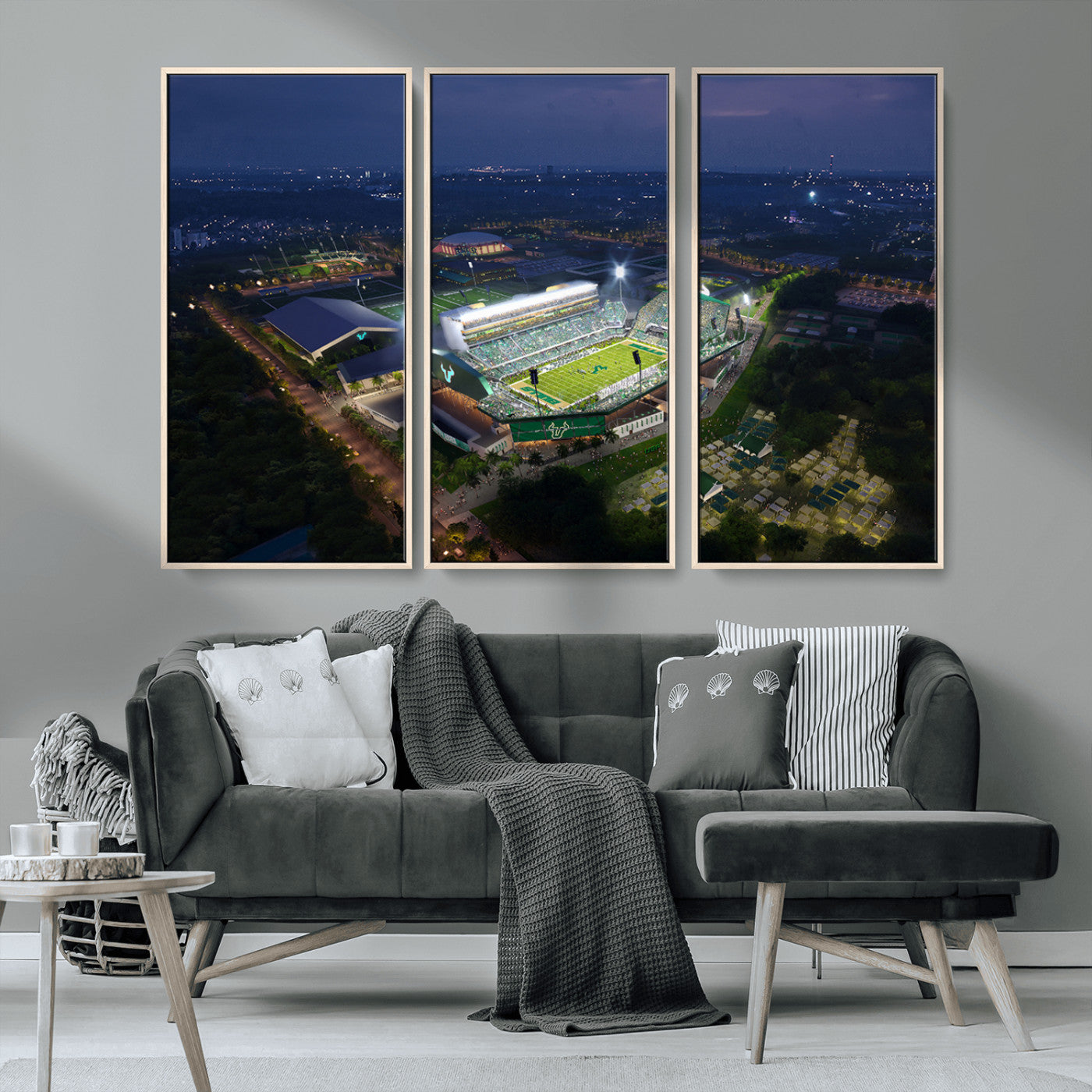 -The University of South Florida Bulls Football Team Print - Tampa USF Football Stadium Wall Art