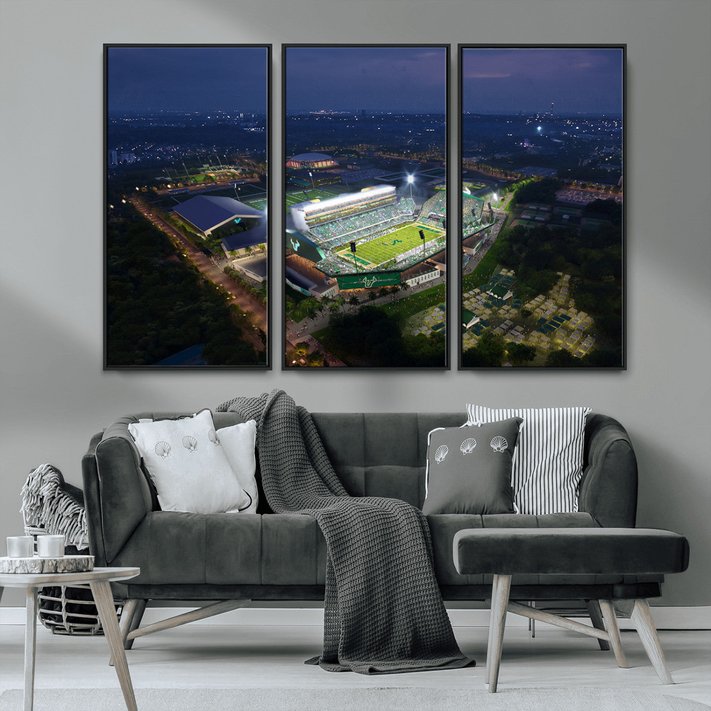 -The University of South Florida Bulls Football Team Print - Tampa USF Football Stadium Wall Art