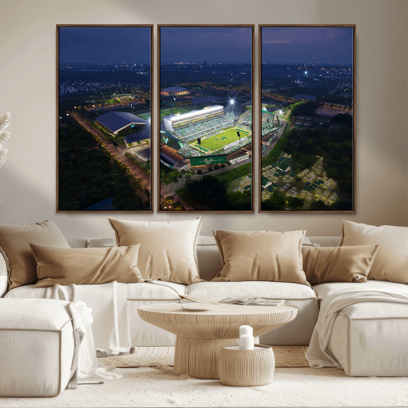 -The University of South Florida Bulls Football Team Print - Tampa USF Football Stadium Wall Art