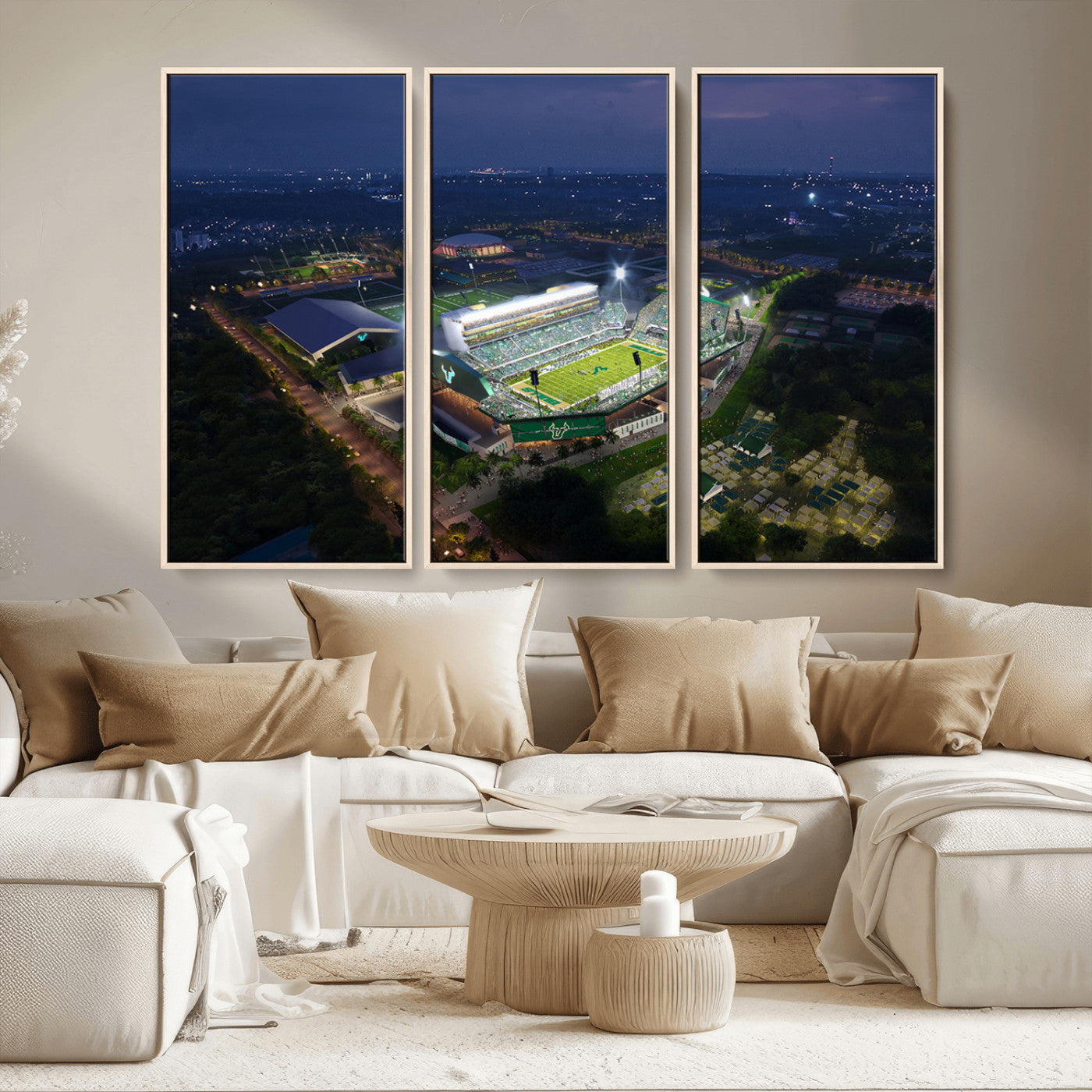 -The University of South Florida Bulls Football Team Print - Tampa USF Football Stadium Wall Art