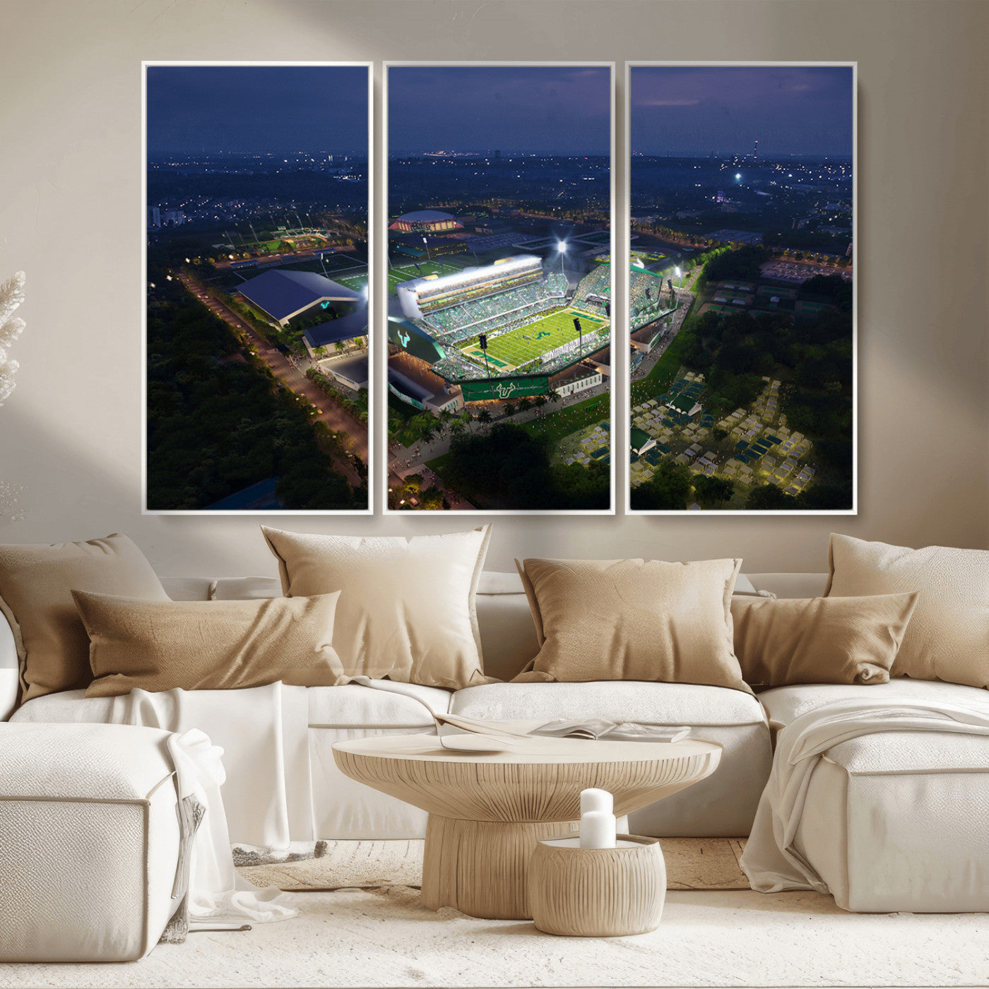 -The University of South Florida Bulls Football Team Print - Tampa USF Football Stadium Wall Art