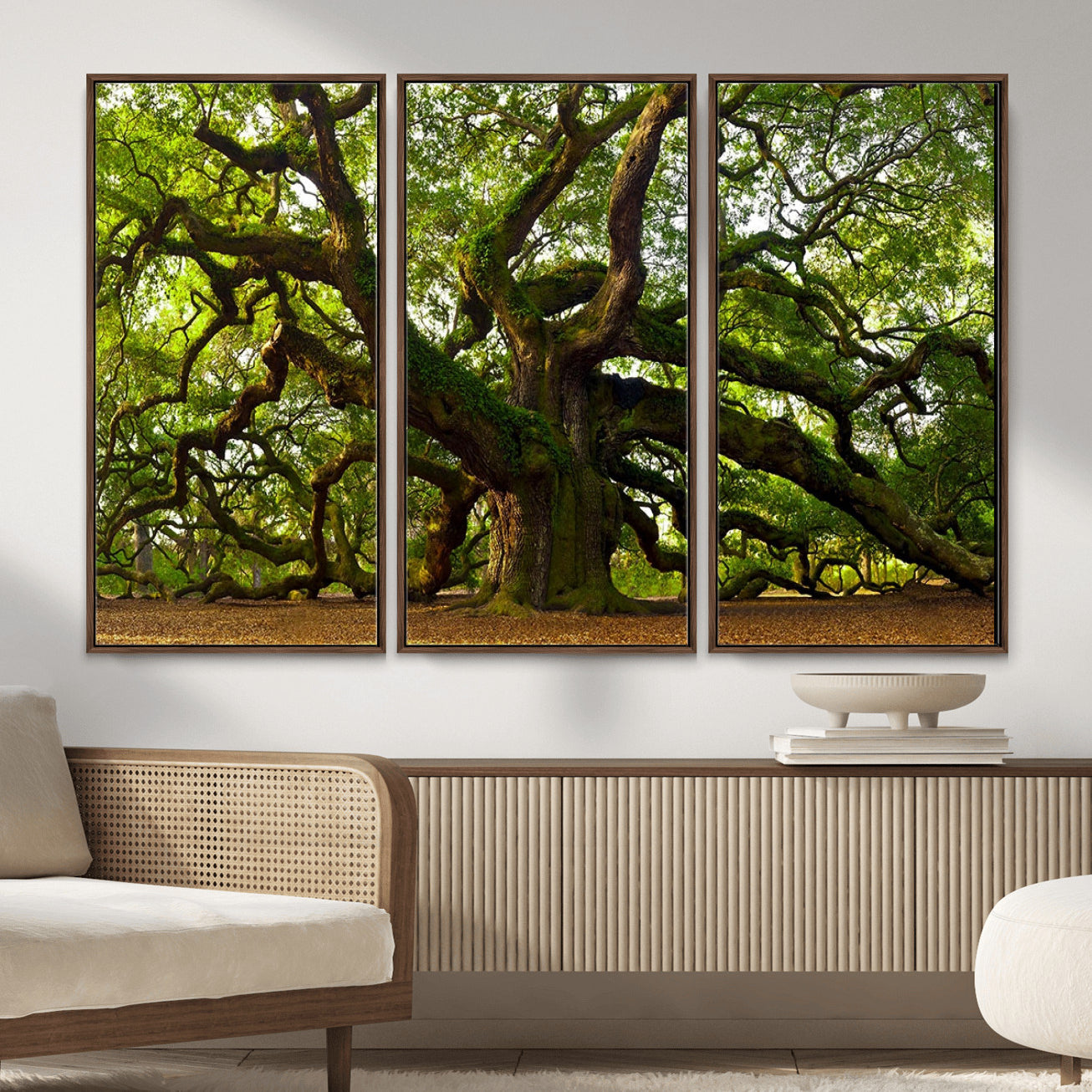 29407-MGV-CV-36X24 - Angel Oak Tree Wall Art Canvas Print | Large Forest Tree Nature Photography Print on Canvas