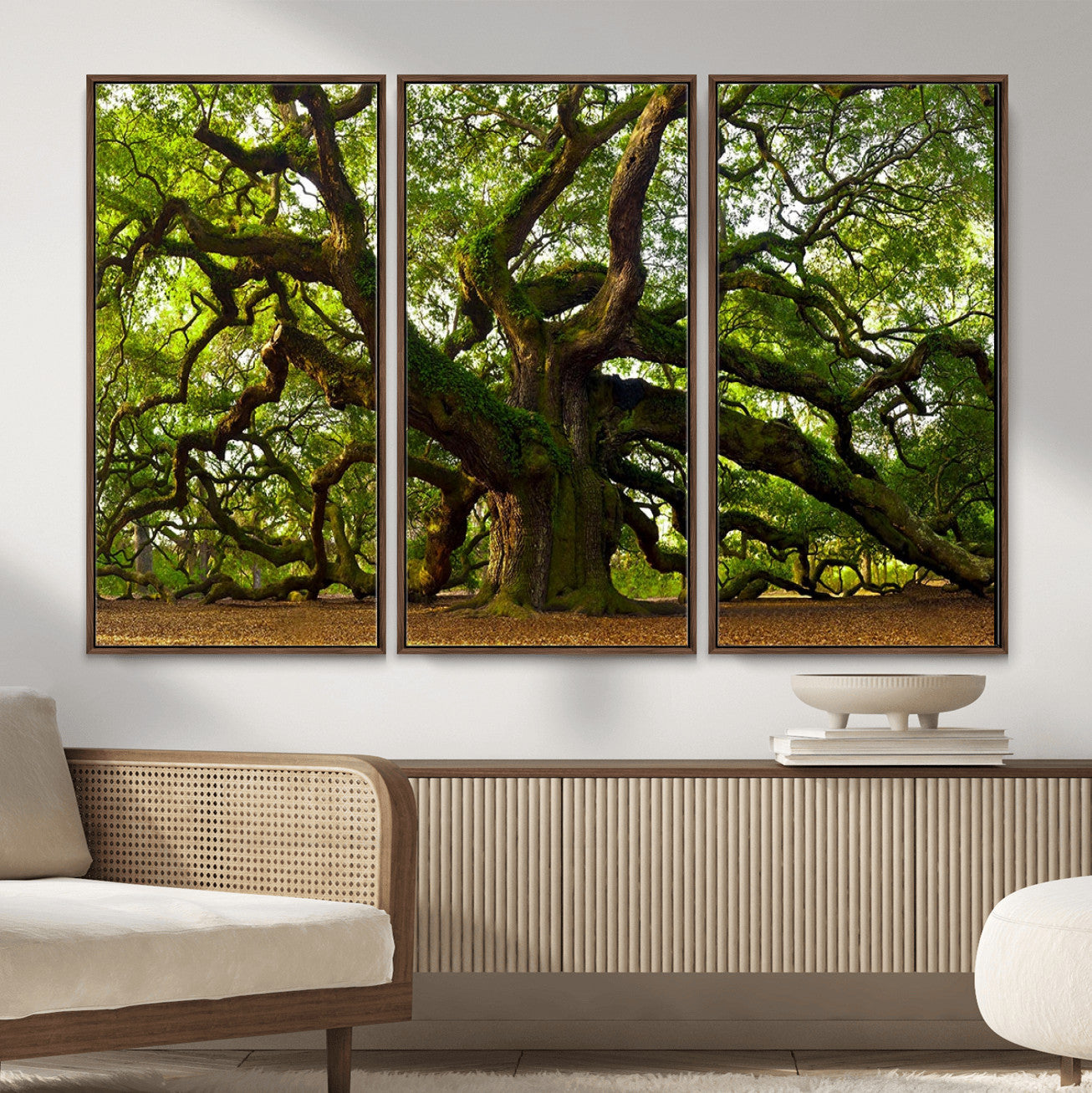 29407-MGV-CV-36X24 - Angel Oak Tree Wall Art Canvas Print | Large Forest Tree Nature Photography Print on Canvas