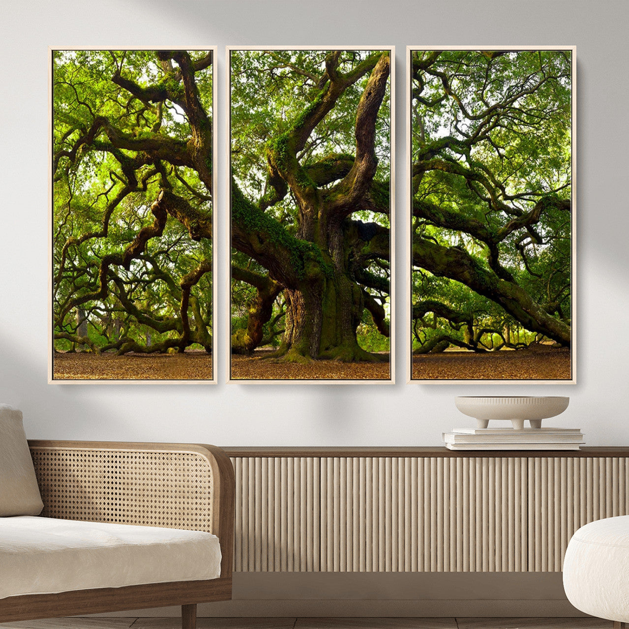 29407-MGV-CV-36X24 - Angel Oak Tree Wall Art Canvas Print | Large Forest Tree Nature Photography Print on Canvas