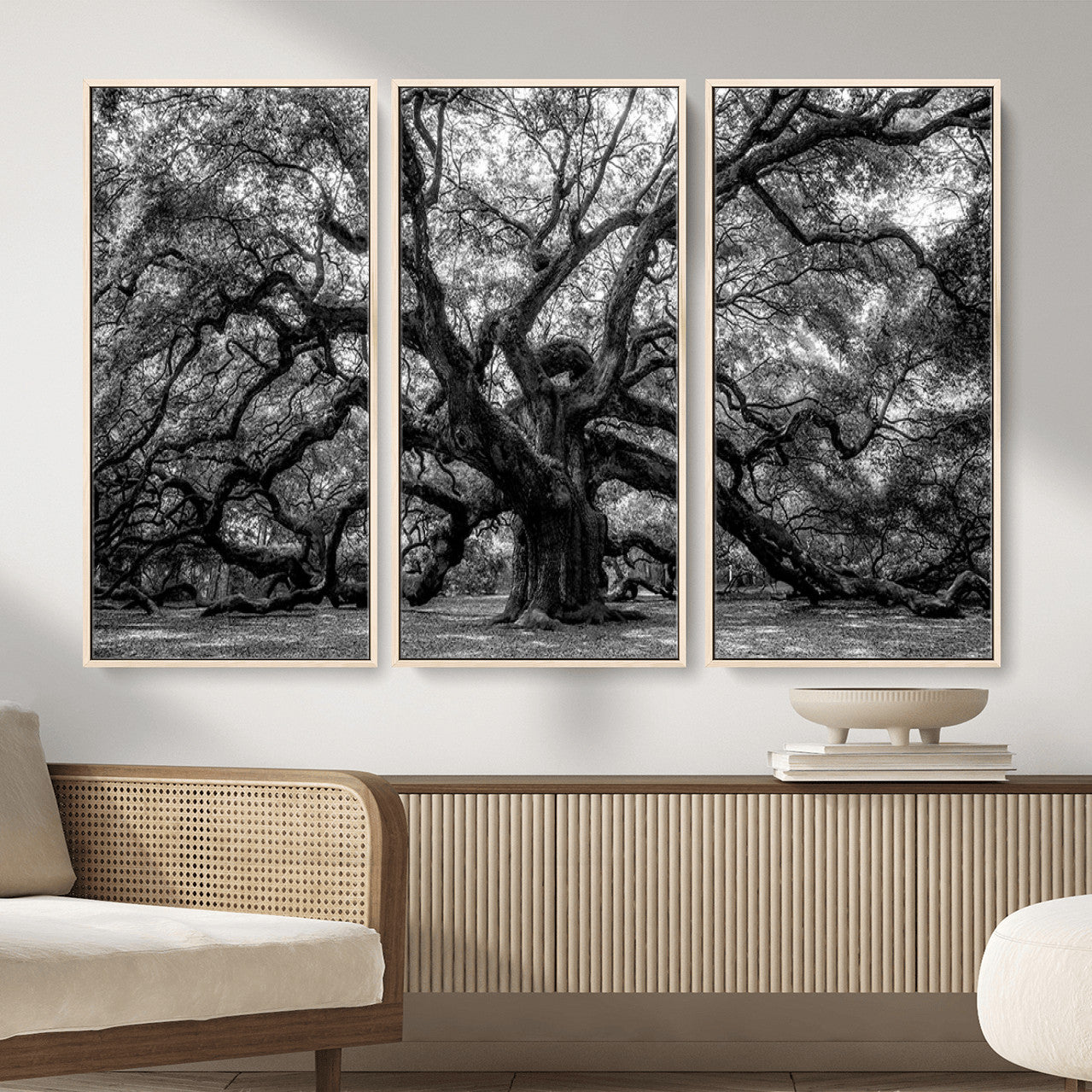132944706-MGV-CV-36X24 - Black and White Old Angel Oak Tree Wall Art Canvas Print