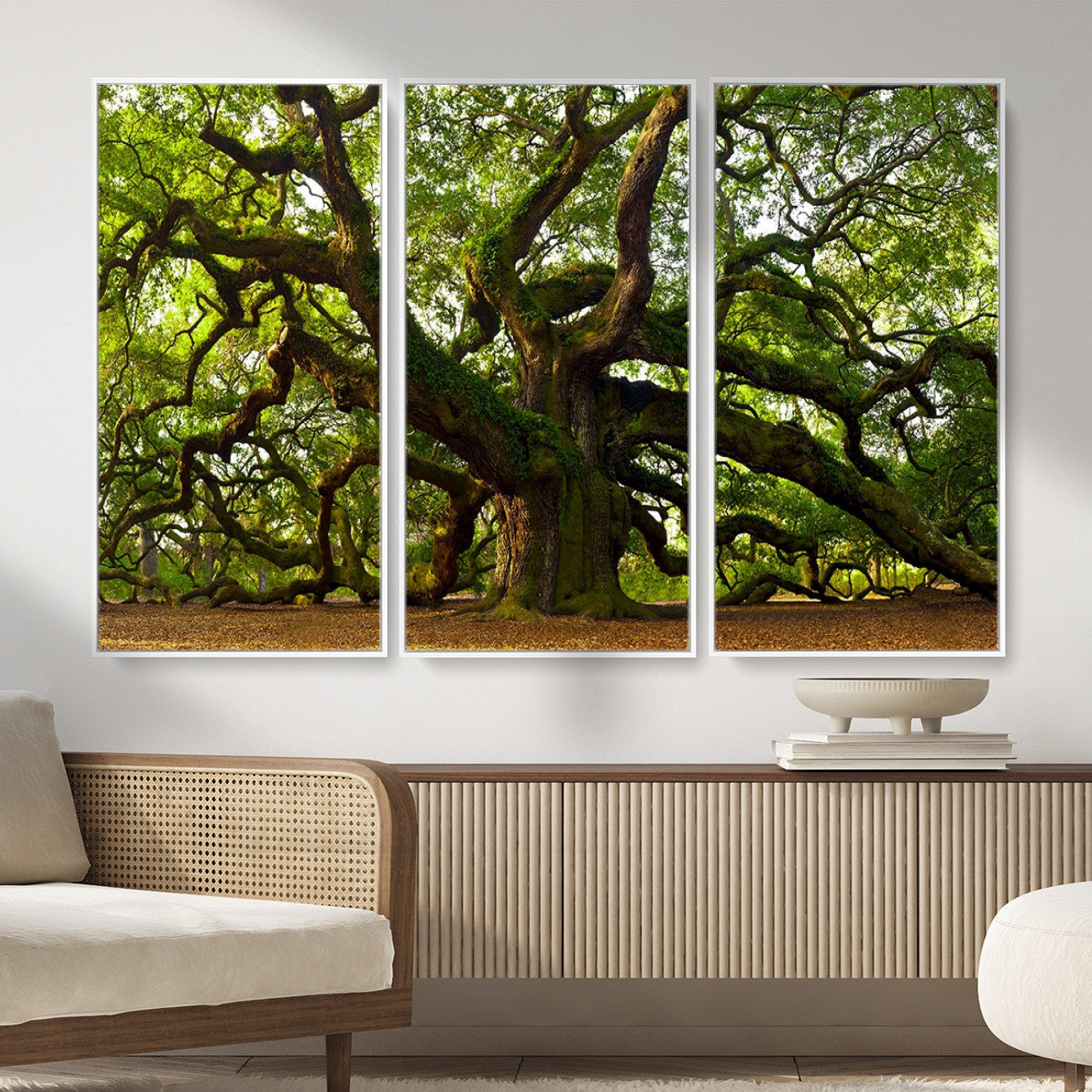 29407-MGV-CV-36X24 - Angel Oak Tree Wall Art Canvas Print | Large Forest Tree Nature Photography Print on Canvas