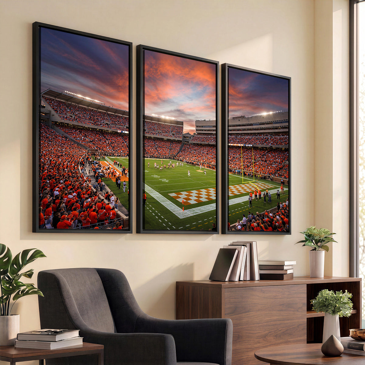 67648335-MGV-CV-36X24 - Stadium Wall Art Canvas Print