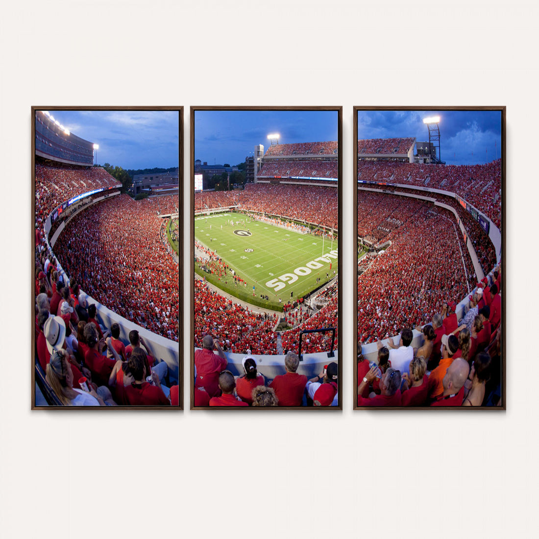 Dooley Stadium Wall Art, Sports Arena Canvas Print, Dooley Field, Home Bar Wall Decor